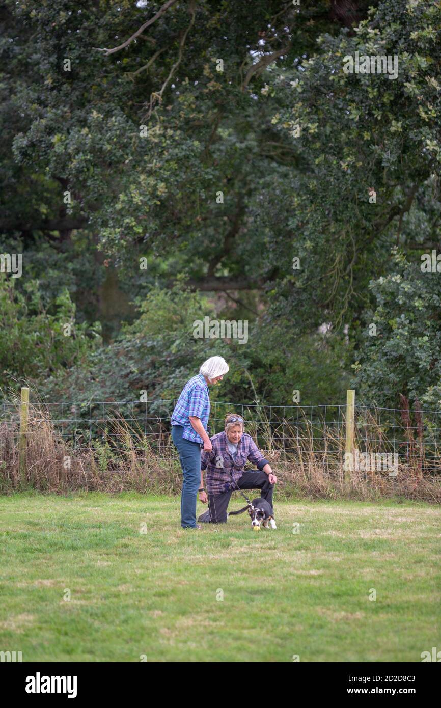 Dog Training class. Owner holding a Border Collie on a longer lead