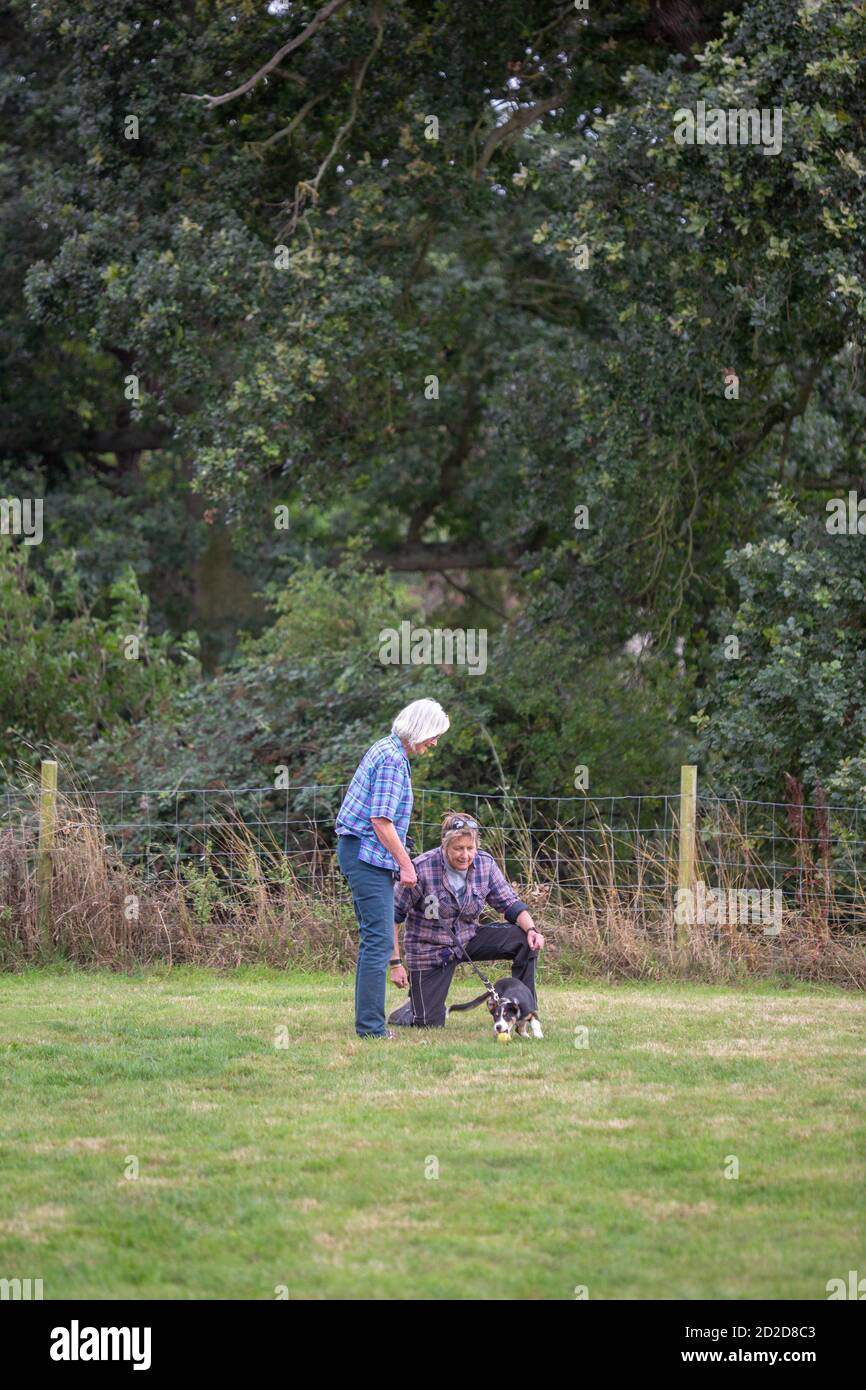 Dog Training class. Owner holding a Border Collie on a longer lead whilst Instructor on her knee, gives advice on gaining the animals attention. Stock Photo