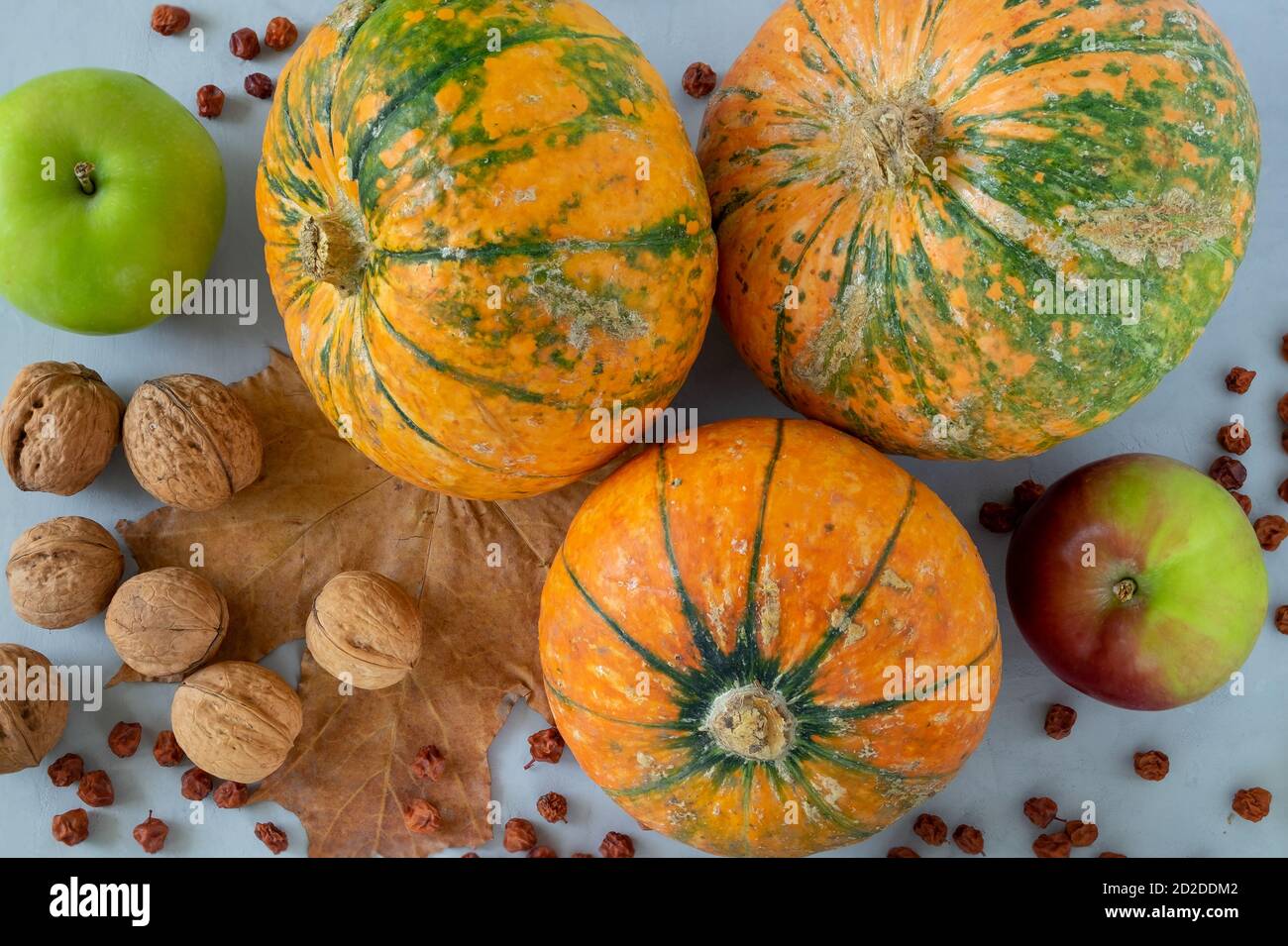 Ripe pumpkins, apples and walnuts on a gray background. Stock Photo