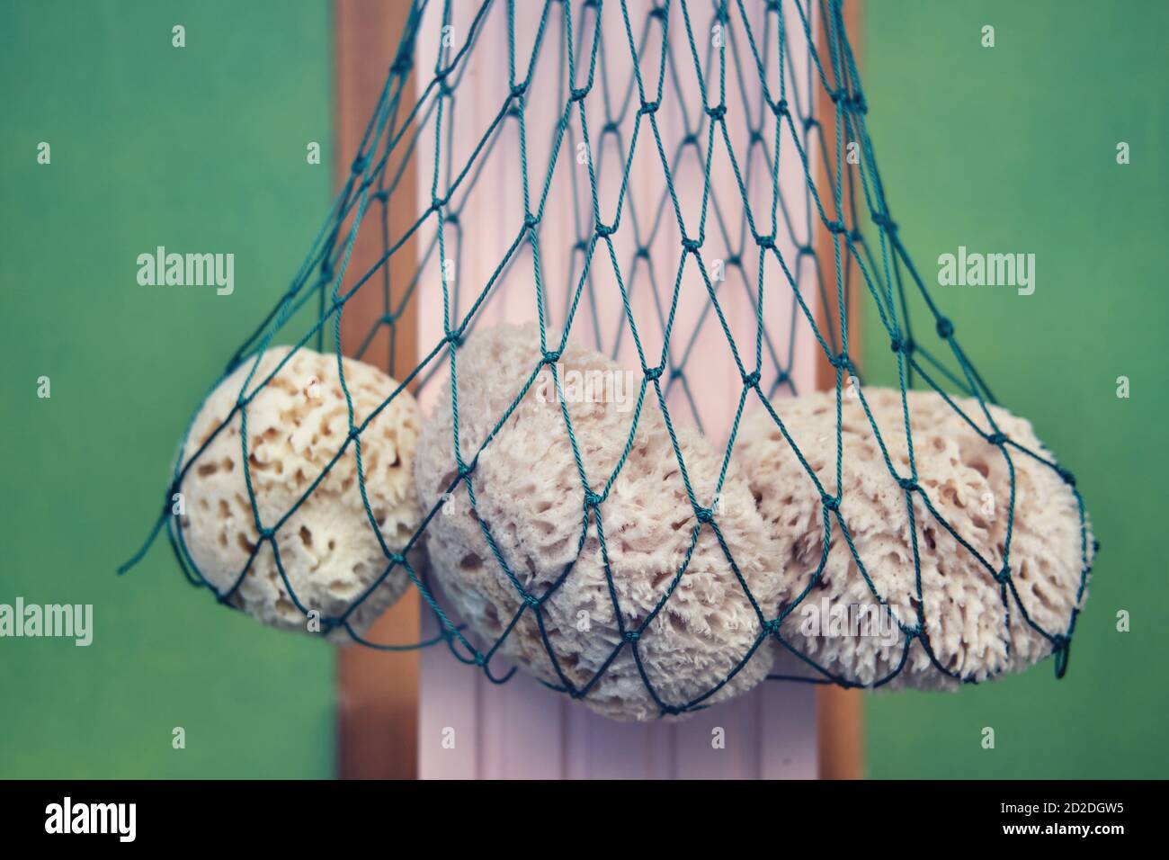 Sea sponges on board a ship in a fishing net, close up Stock Photo - Alamy