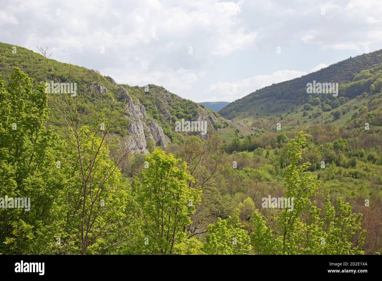 The Nera Gorge-Beușnița National Park is a protected area situated in Romania, Caraş-Severin County.View of the rocky mountain, the forest in spring. Stock Photo