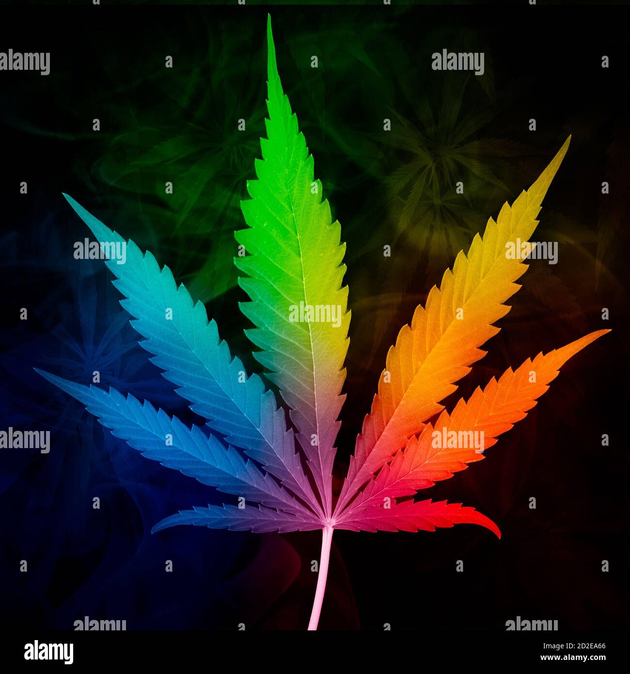 A multicolored cannabis leaf in blue, green, yellow, orange and red on a dark cannabis background texture Stock Photo