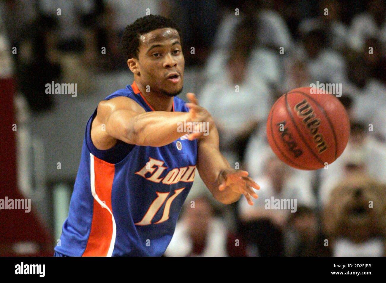 Taurean green hires stock photography and images Alamy