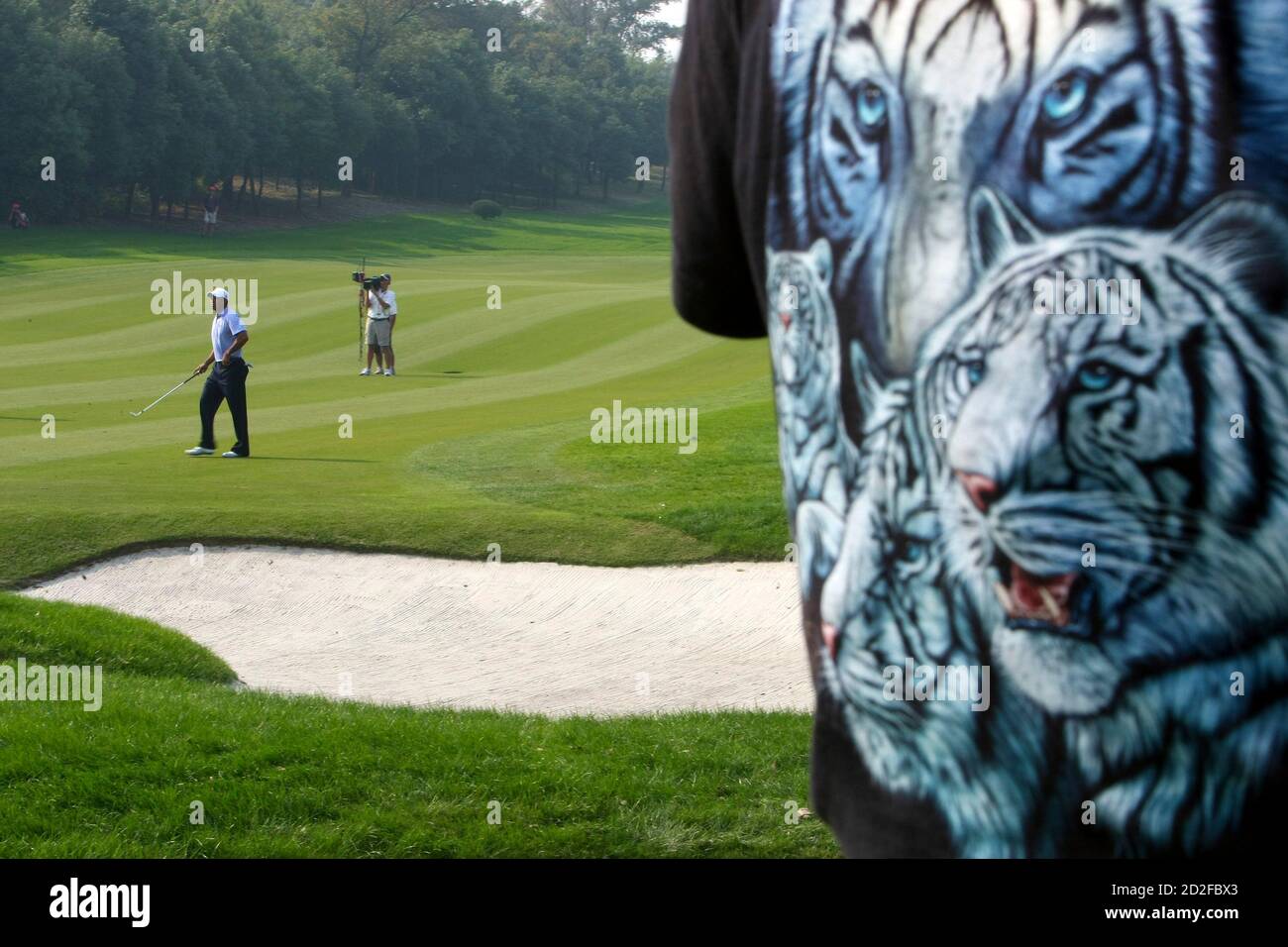 Tiger In A Shirt High Resolution Stock Photography And Images Alamy