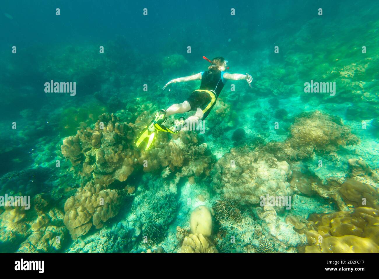 Man snorkeling in diving suit in coral reef of Surin Islands, Andaman Sea, North of Phuket, Phang Nga in Thailand. Swimming in Ko Surin Marine Stock Photo