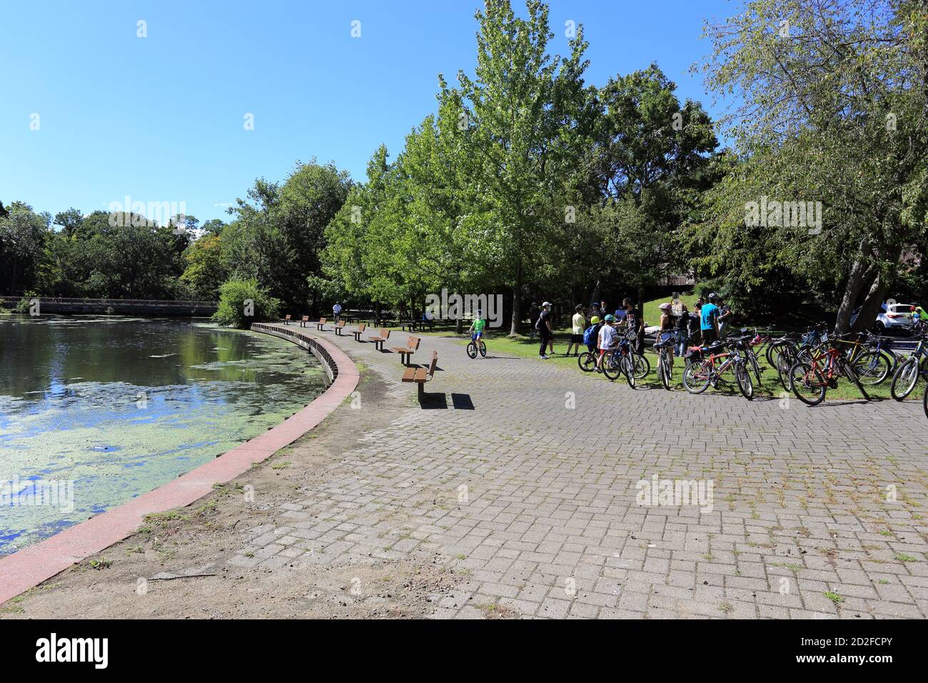 Woodlands lake Elmsford New York Stock Photo Alamy