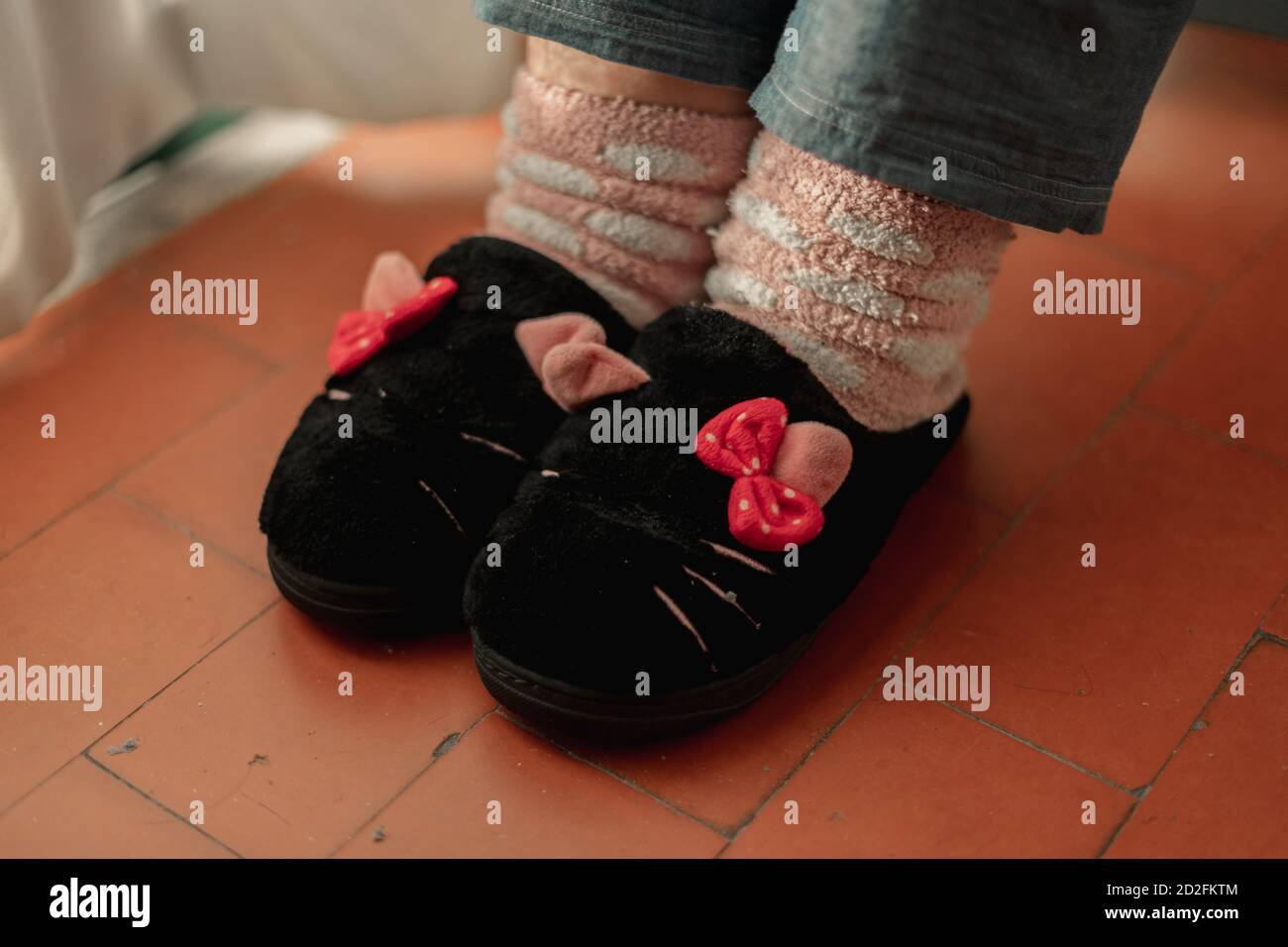 Close up photo of a pair of slipper shaped with cat faces and a pair of soft socks. Stock Photo