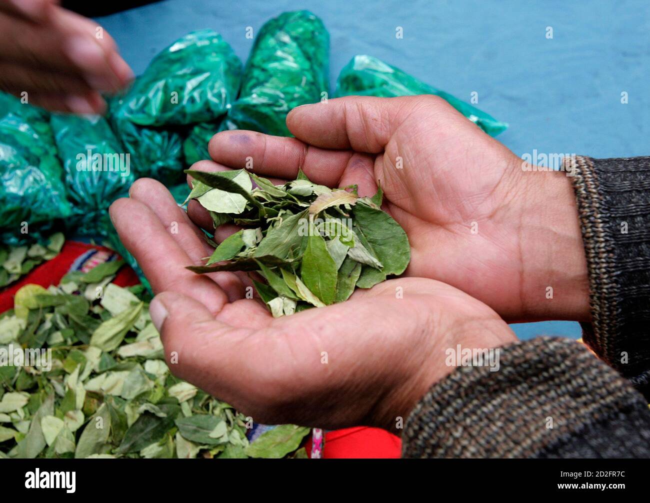 Coca leaf production hires stock photography and images Alamy