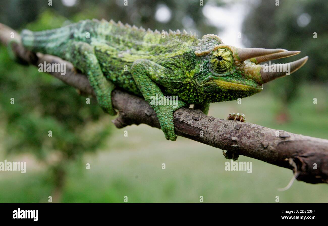 A jackson hi-res stock photography and images - Page 2 - Alamy A jackson hi-res stock photography and images - Page 2 - Alamy