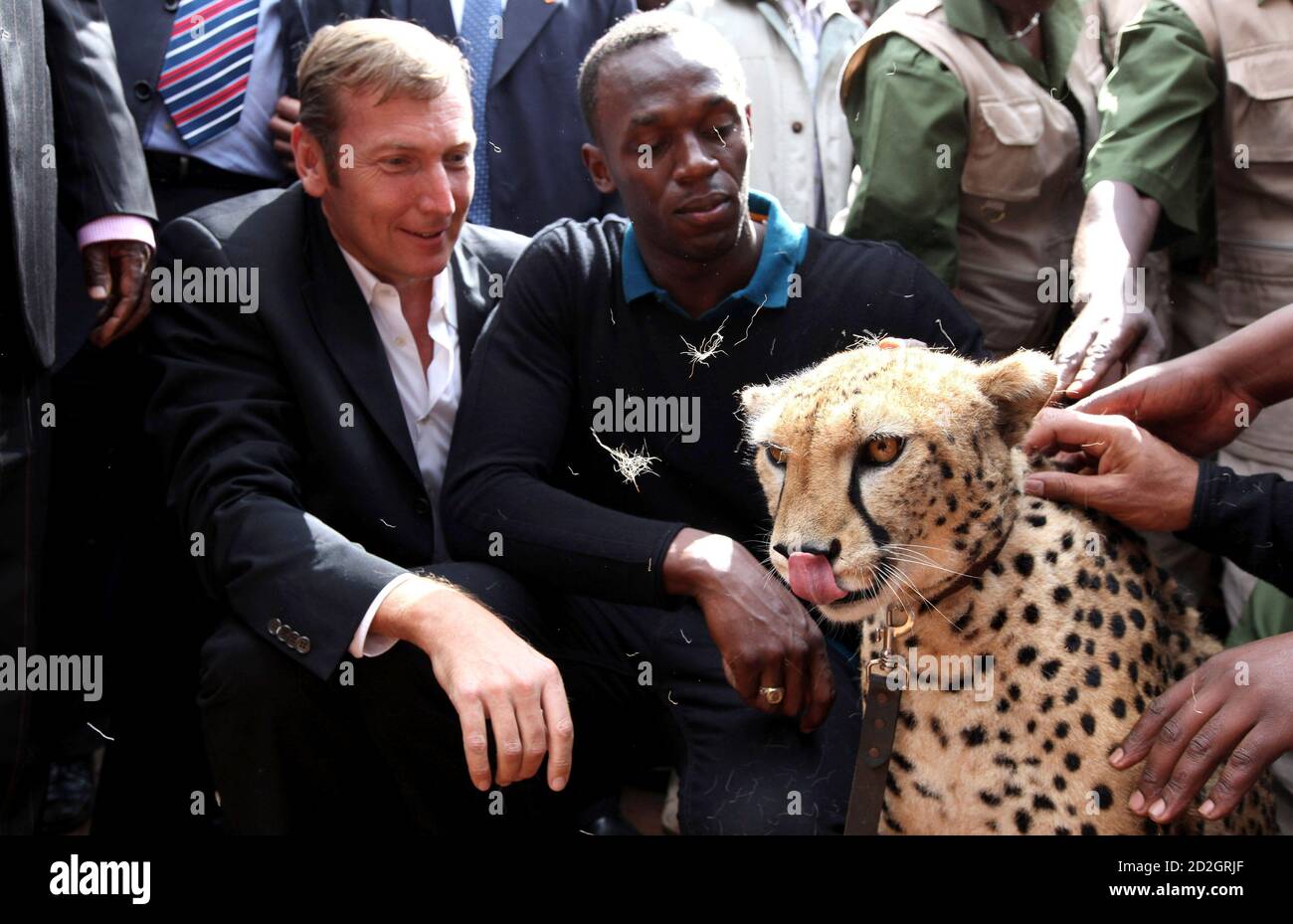 Olympic and world champion sprinter Usain Bolt of Jamaica (C) and Jochen  Zeitz (L), CEO of sports goods maker Puma, pose with a cheetah at Kenya  Wildlife Service (KWS) headquarters in Nairobi,