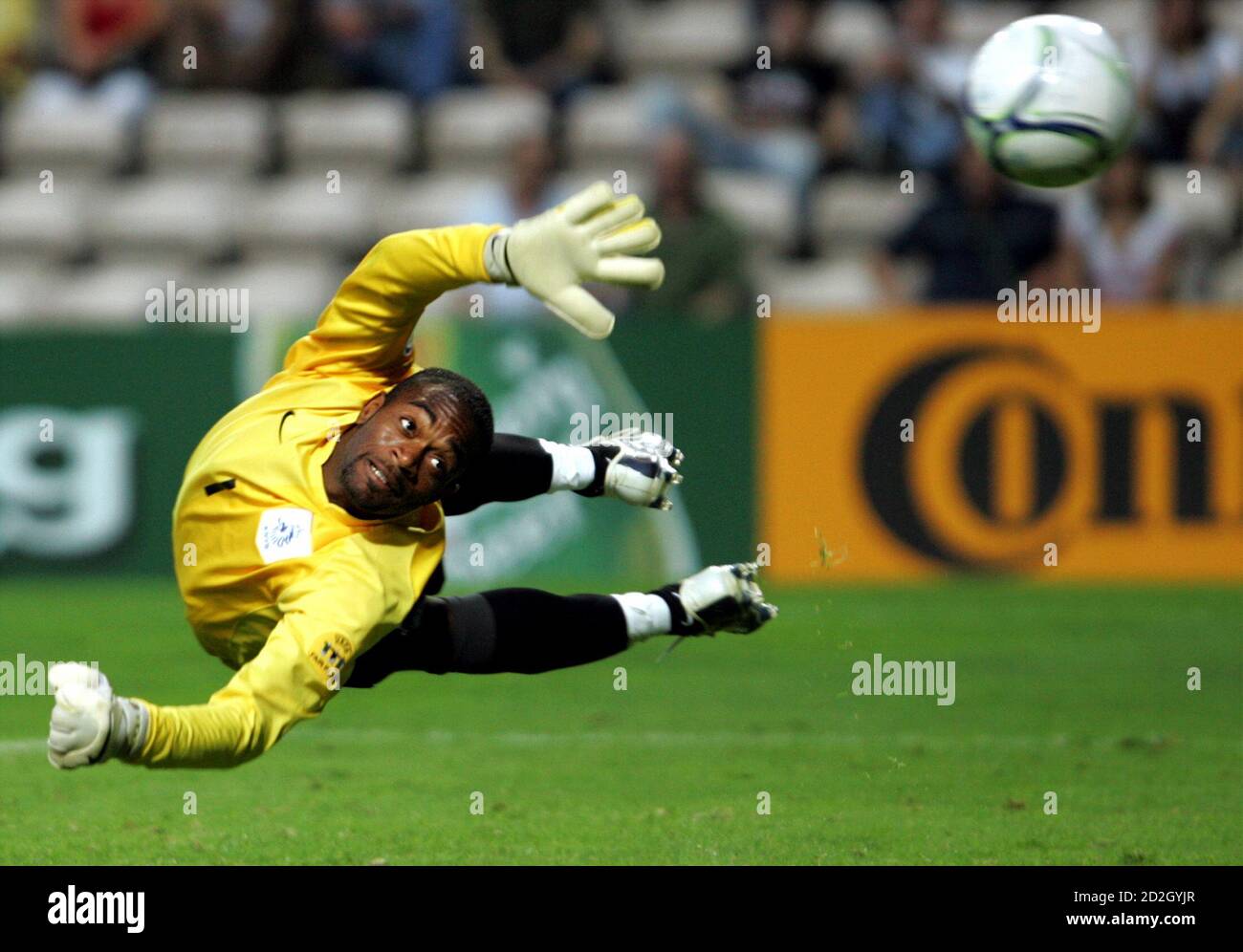 [Imagen: the-netherlands-goalkeeper-kenneth-verme...D2GYJR.jpg]