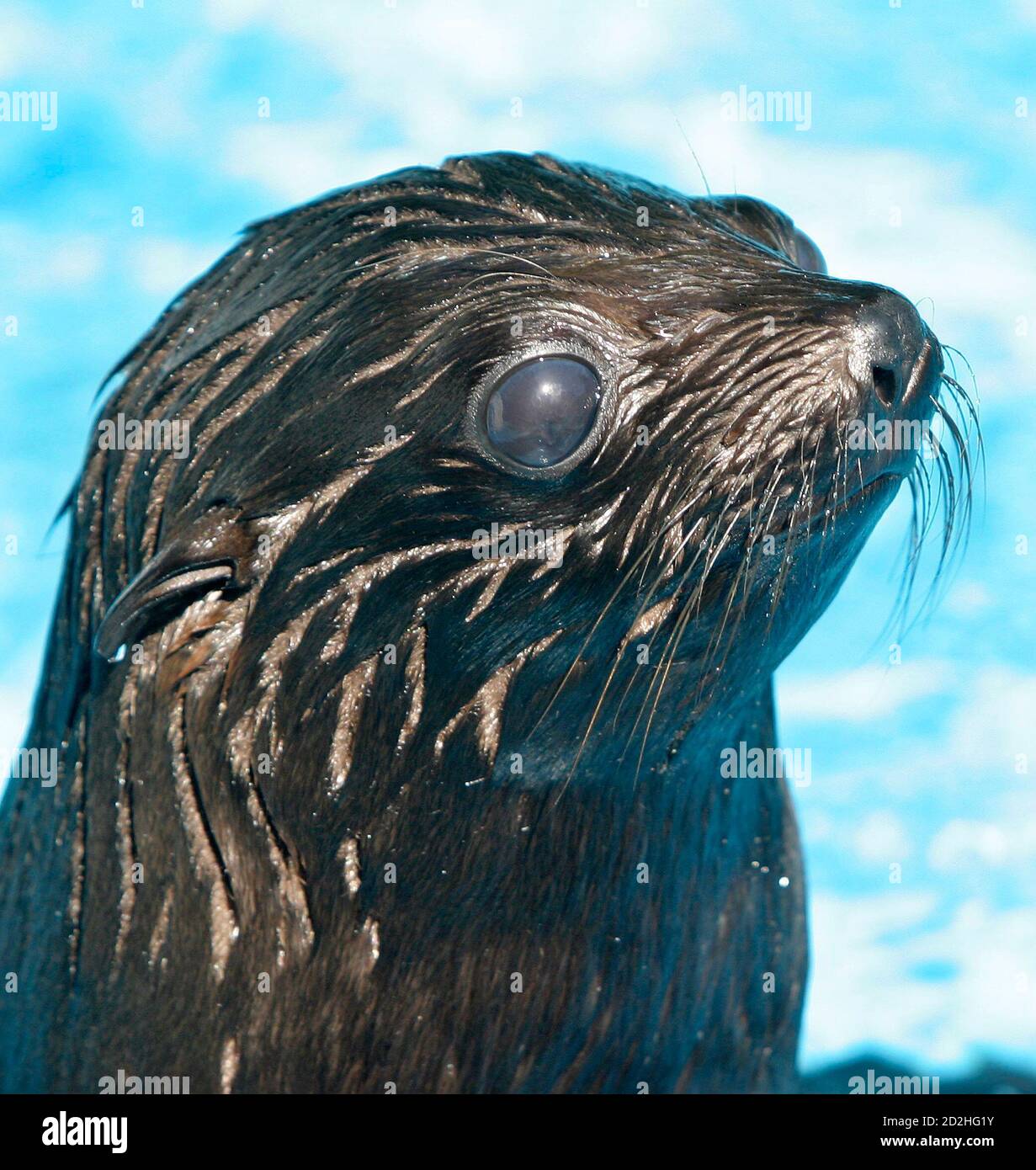 Page 13 75 Kg High Resolution Stock Photography And Images Alamy