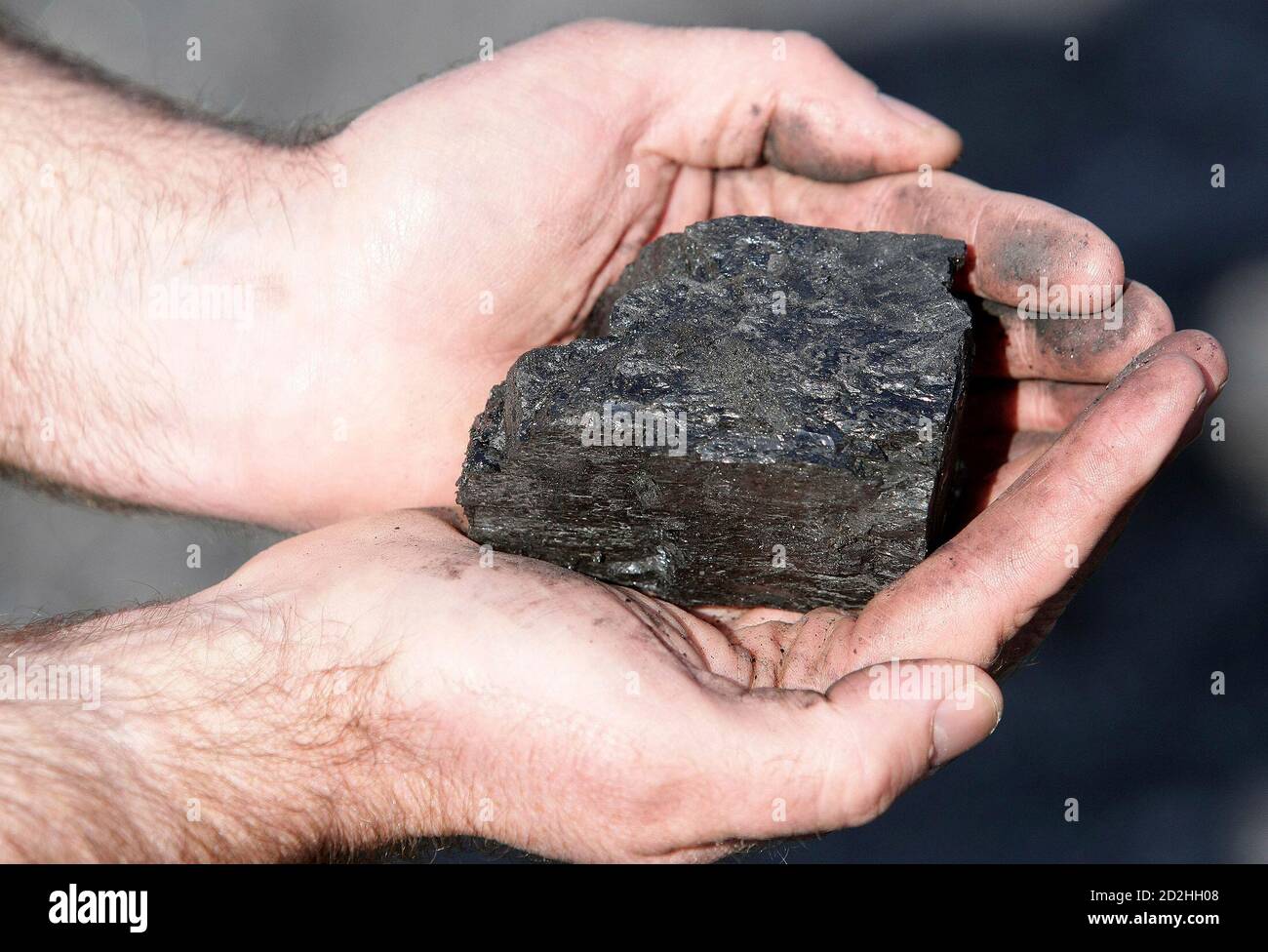 An engineer holds a lump of coal at UK Coal's Cutacre surface mine near Bolton, northern England, April 16, 2008. REUTERS/Phil Noble (BRITAIN) Stock Photo