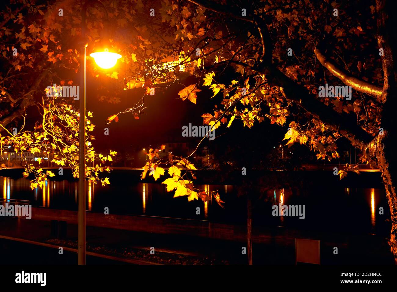 Night 2024 time lamp