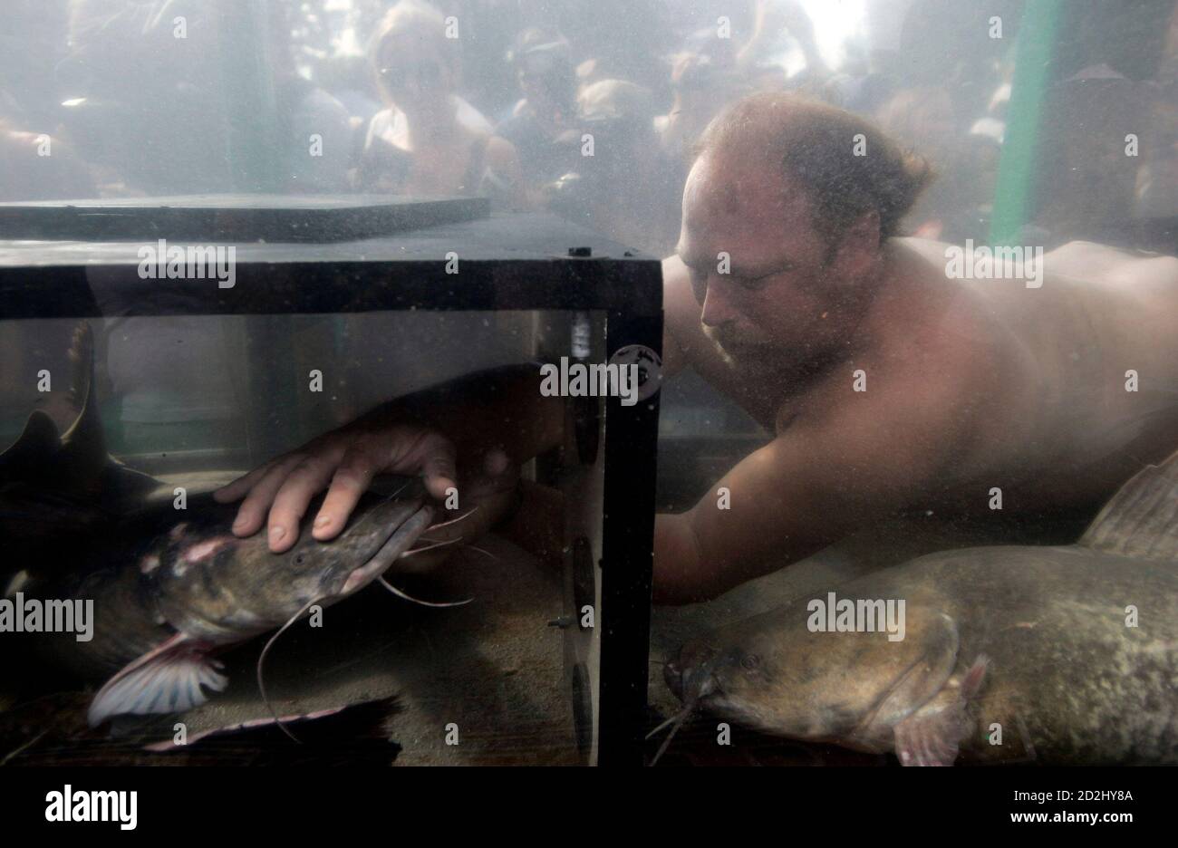 Catfish noodling hires stock photography and images Alamy