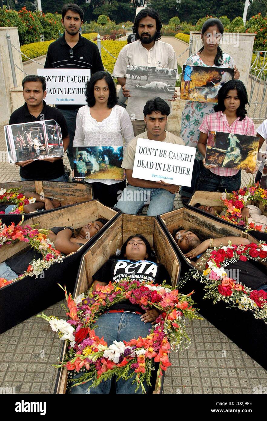 Members from People for the Ethical Treatment of Animals (PETA) lie in coffins and hold placards during a protest in the southern Indian city of Bangalore September 27, 2005. PETA aims to Members from People for the Ethical Treatment of Animals (PETA) lie in coffins and hold placards during a protest in the southern Indian city of Bangalore September 27, 2005. PETA aims to