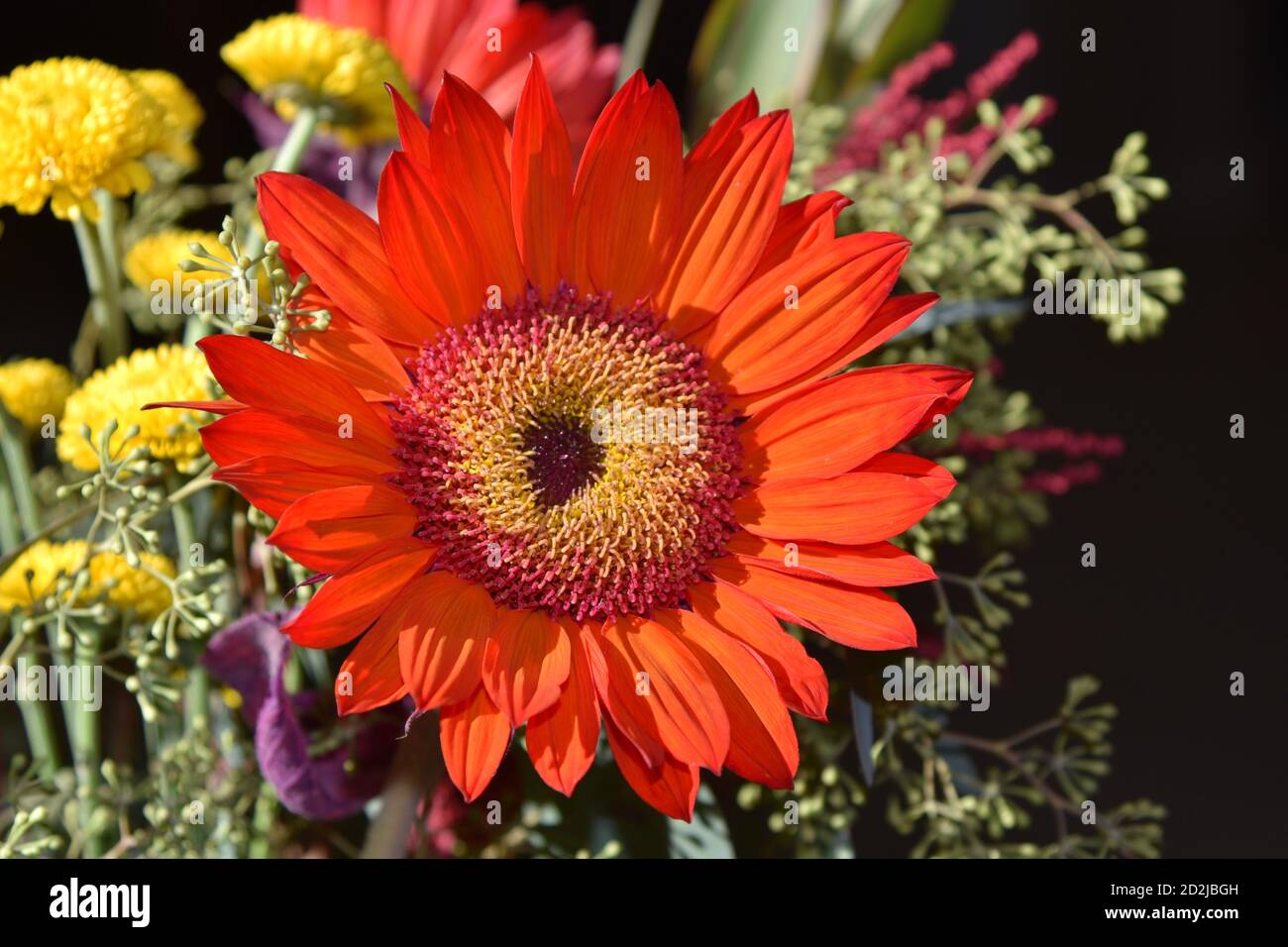 Red Sunflower Arrangements 