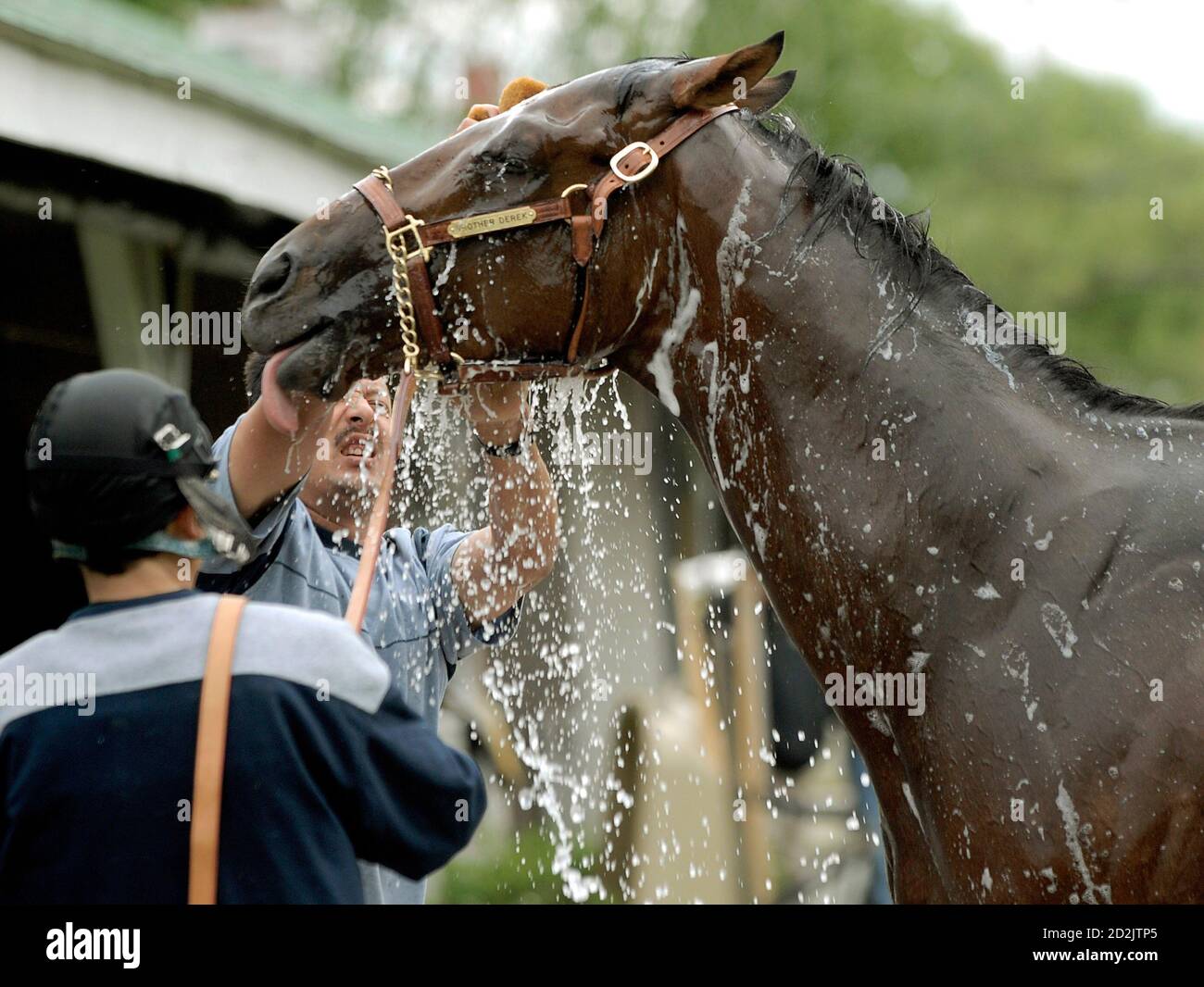 John derek horse hi-res stock photography and images - Alamy