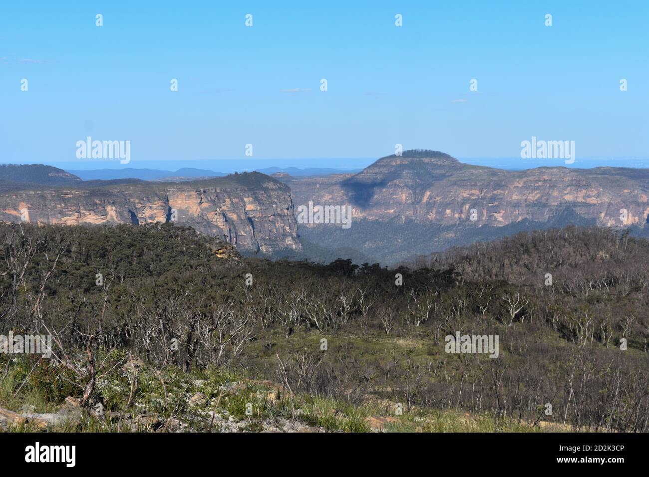 view of mountains and cliffs with flora and trees growing on it Stock Photo