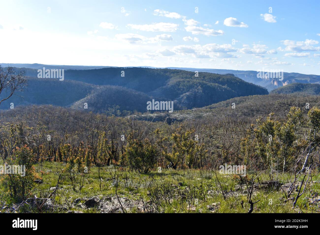 view of mountains and regrowth of burnt flora Stock Photo