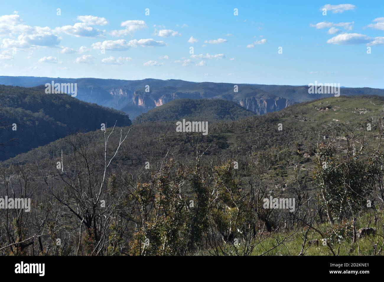 trees and mountain cliffs of the blue mountains in blackheath Stock Photo