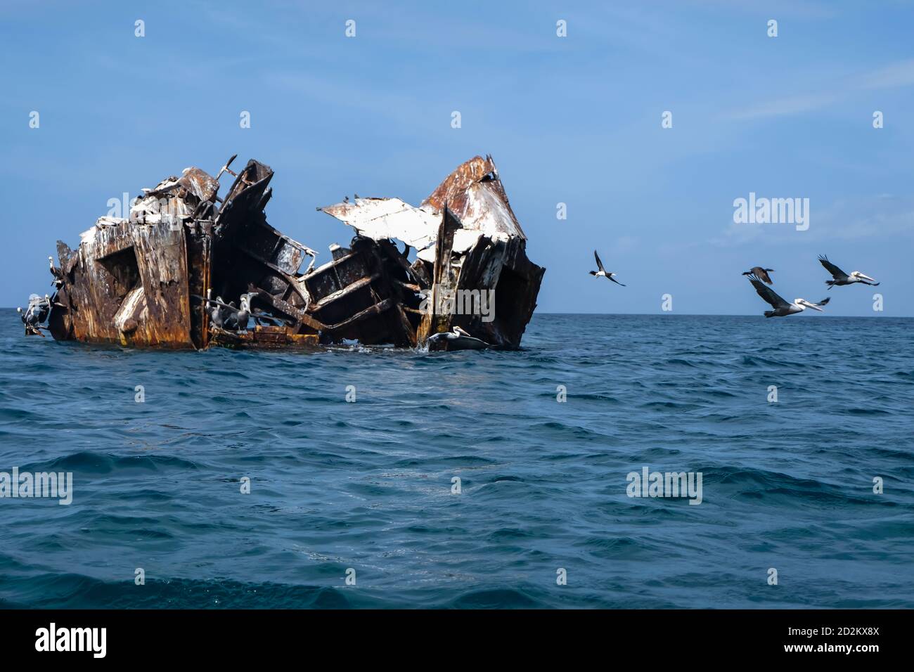 Wreck ferryboat sunk with pelicans next to Cubagua island (Venezuela). Stock Photo