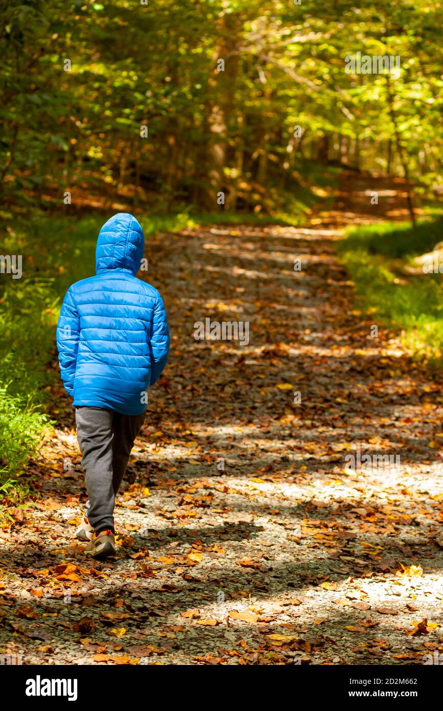 Child walking alone forest hi-res stock photography and images - Alamy