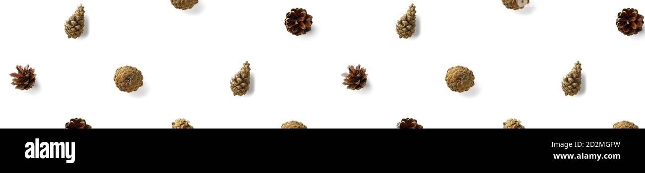 Pine cone Christmas background on white. Pine branches and cones ...