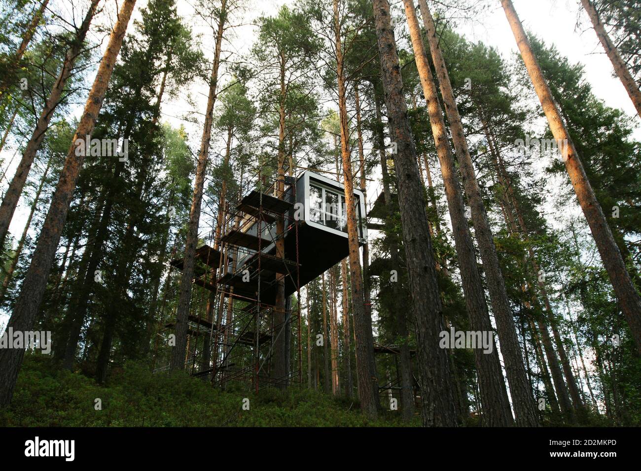 The Cabin is seen under construction on the site of Treehotel in the Swedish village of Harads, July 5, 2010. A lofty new hotel concept is set to open in a remote village in northern Sweden, which aims to elevate the simple treehouse into a world-class destination for design-conscious travellers. Treehotel, located in Harads about 60 km south of the Arctic Circle, will consist of four rooms when it opens on July 17th: The Cabin, The Blue Cone, The Nest and The Mirrorcube. Picture taken July 5, 2010.     To match Reuters Life! SWEDEN-TREEHOTEL/    REUTERS/Matt Cowan    (SWEDEN  - Tags: ENVIRONM Stock Photo