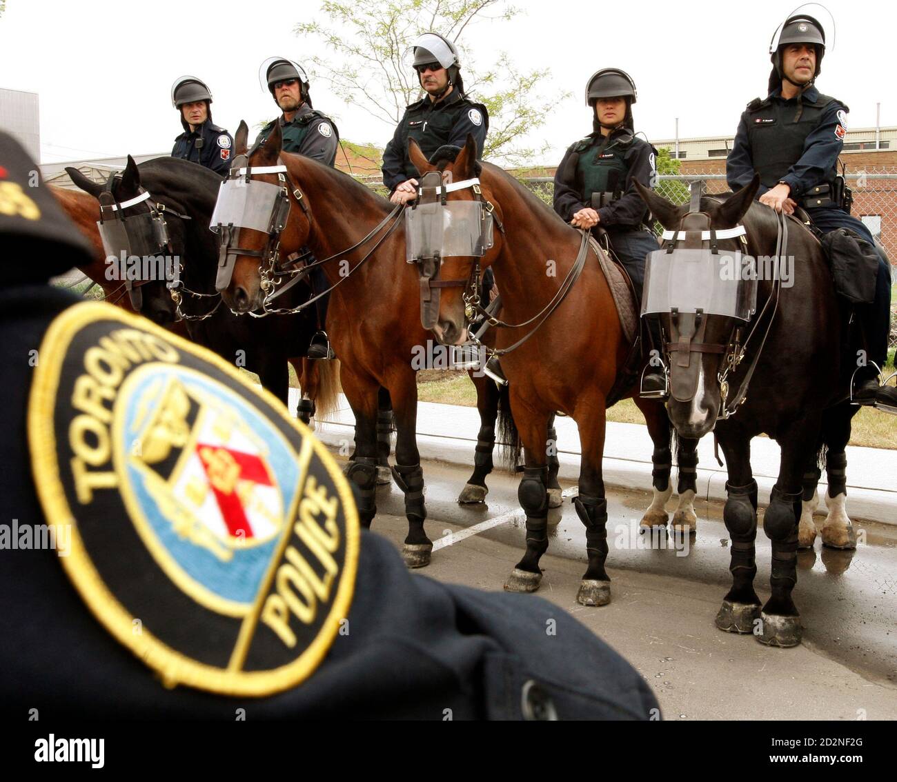 Members of the Toronto Police Mounted Unit which will provide security during the upcoming G8 and G20 Summits in Ontario are shown during a Integrated Security Unit (ISU) technical briefing for media in Toronto June 3, 2010. The ISU a joint security team led by the Royal Canadian Mounted Police (RCMP) in partnership with the Toronto Police Service, the Ontario Provincial Police (OPP), the Canadian Forces and Peel Regional Police.      REUTERS/ Mike Cassese   (CANADA - Tags: CRIME LAW ANIMALS) Stock Photo