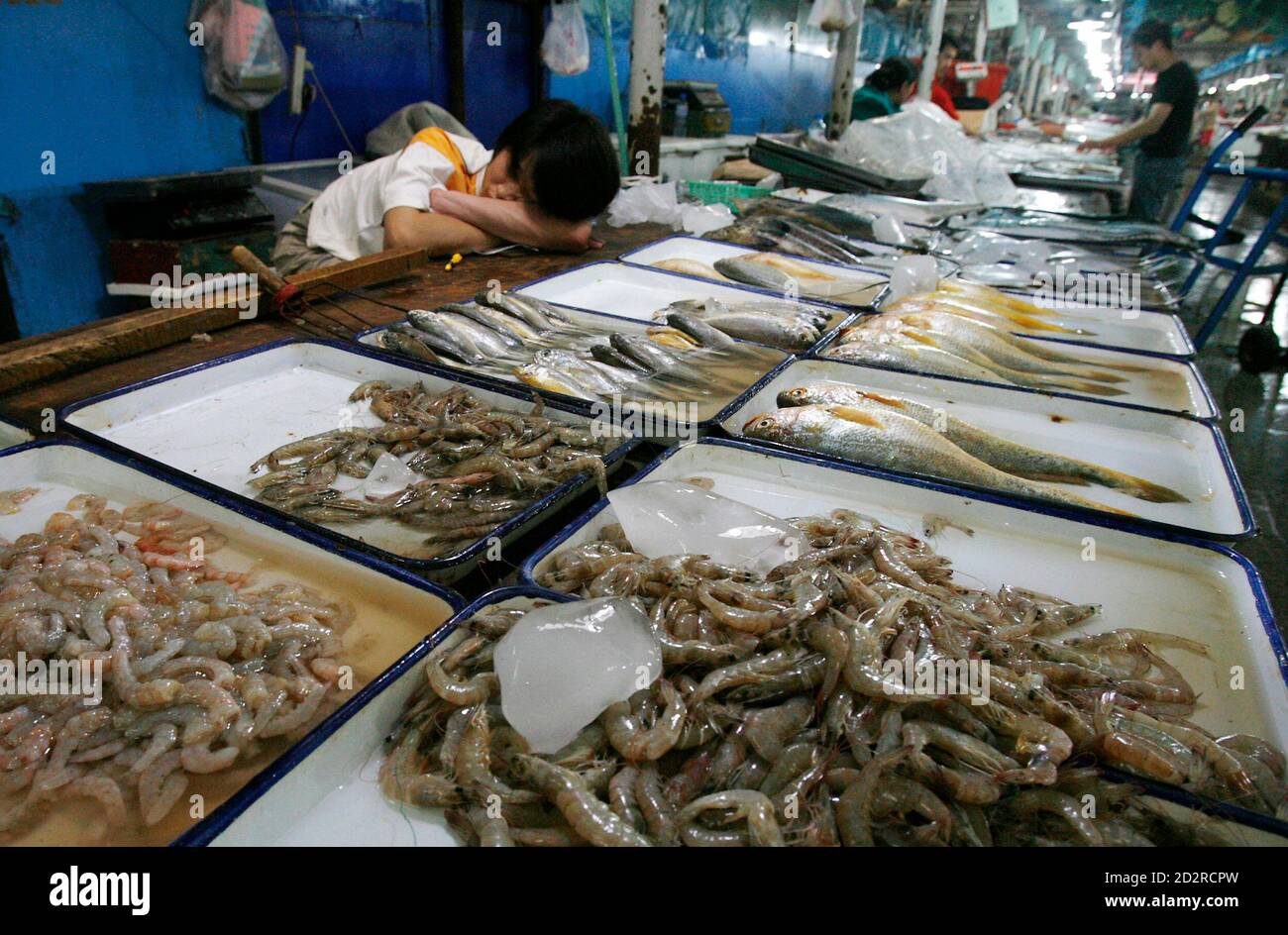 Seafood Exports High Resolution Stock Photography and Images - Alamy