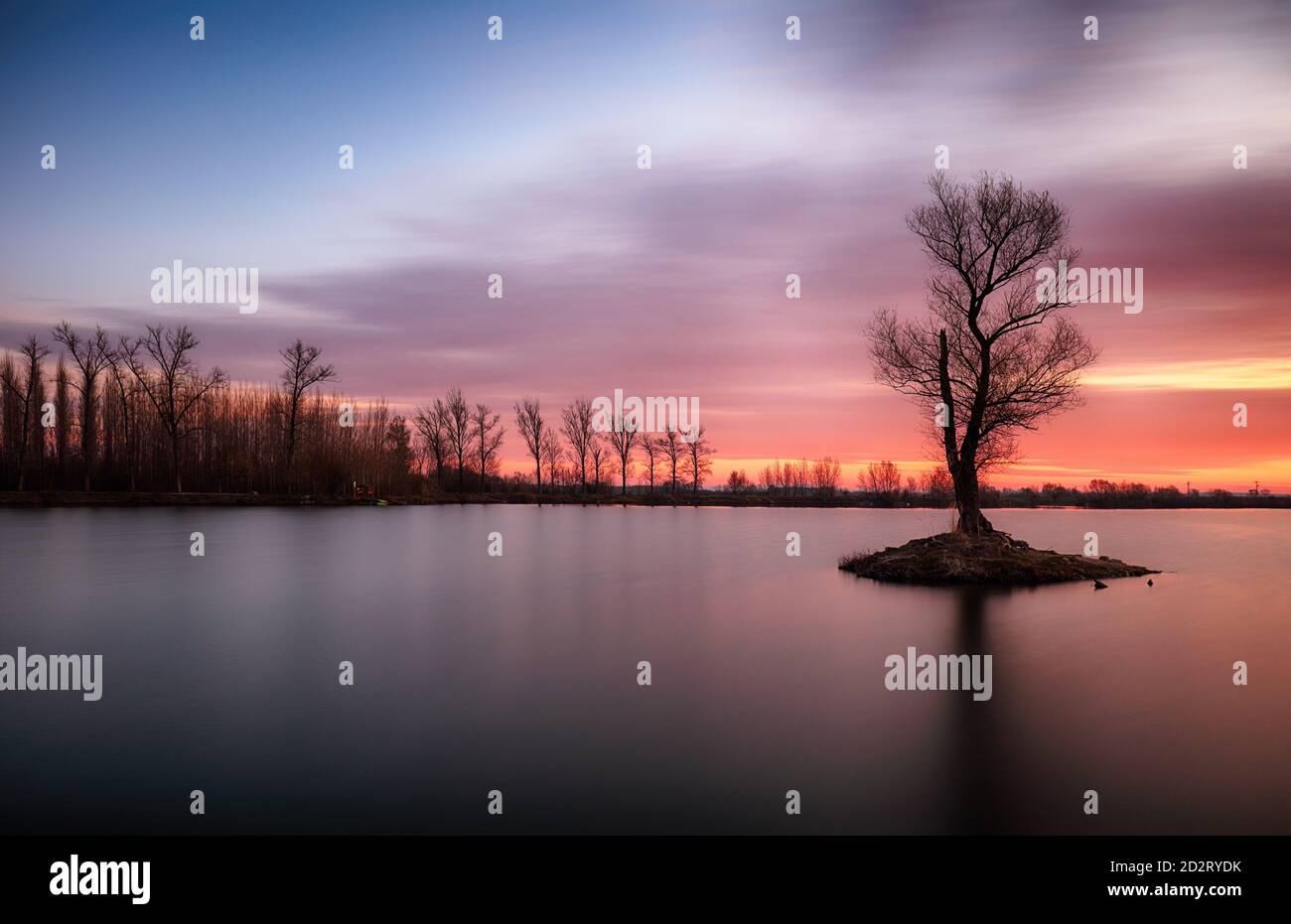Lake with alone tree at dramatic sunset Stock Photo