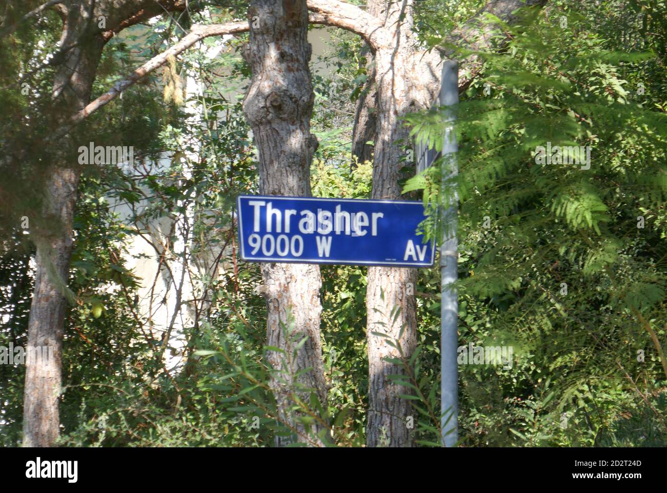 Los Angeles, California, USA 6th October 2020 A general view of atmosphere of Thrasher Avenue where Moe Howard of the Three Stooges and John Lennon of the Beatles lived on October 6, 2020 in Los Angeles, California, USA. Photo by Barry King/Alamy Stock Photo Stock Photo