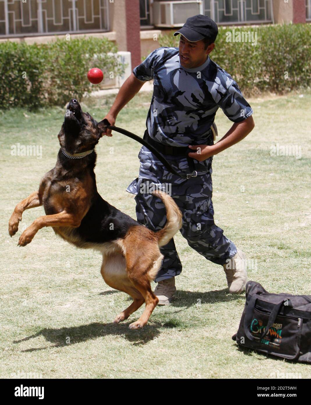 How Much Does It Cost To Train A Police Dog