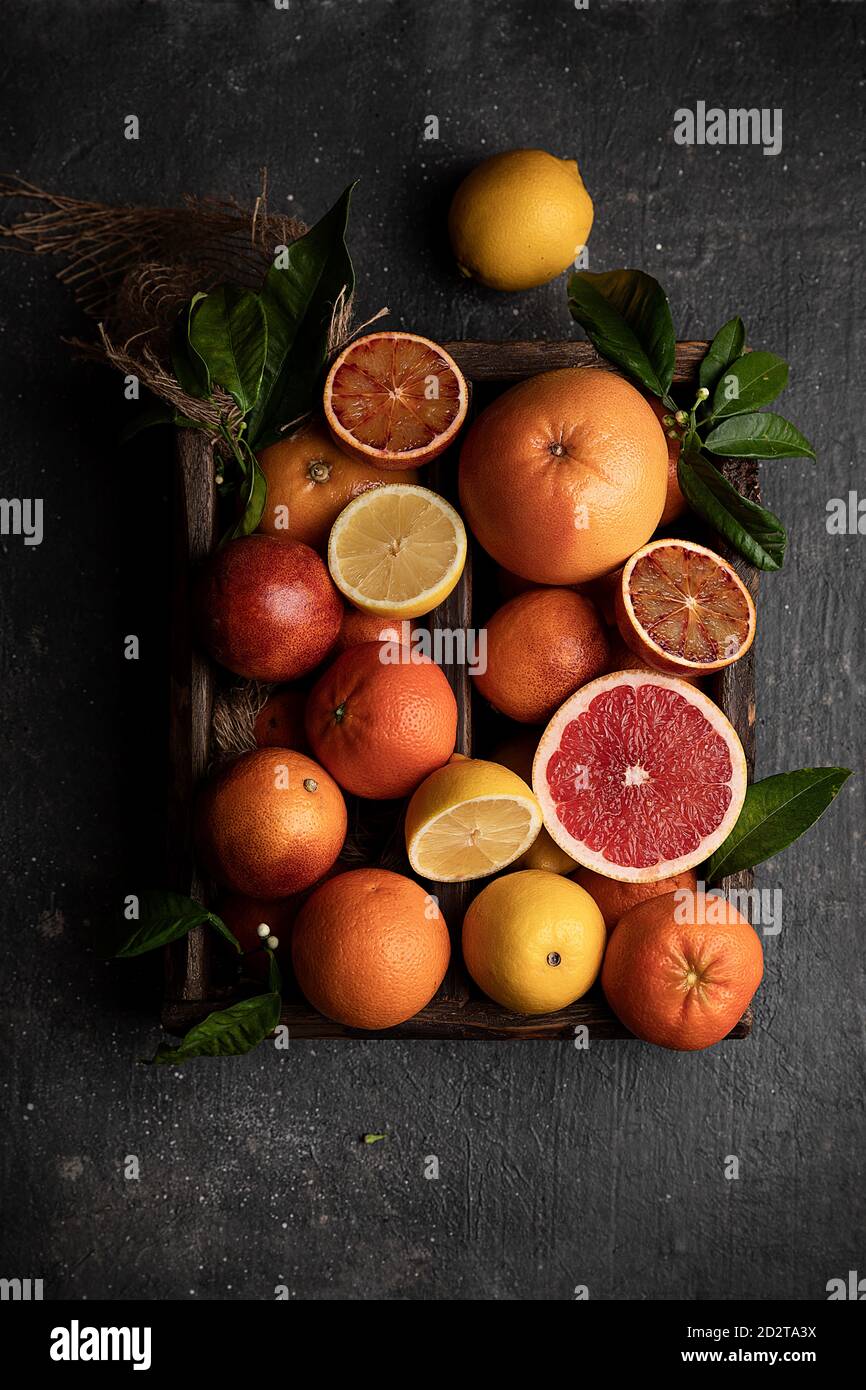 Citrus fruits collection set hi-res stock photography and images - Alamy