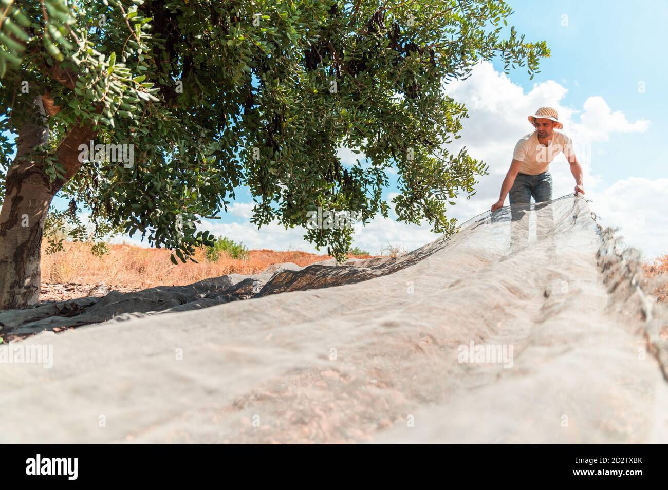 Male farm worker hires stock photography and images Alamy