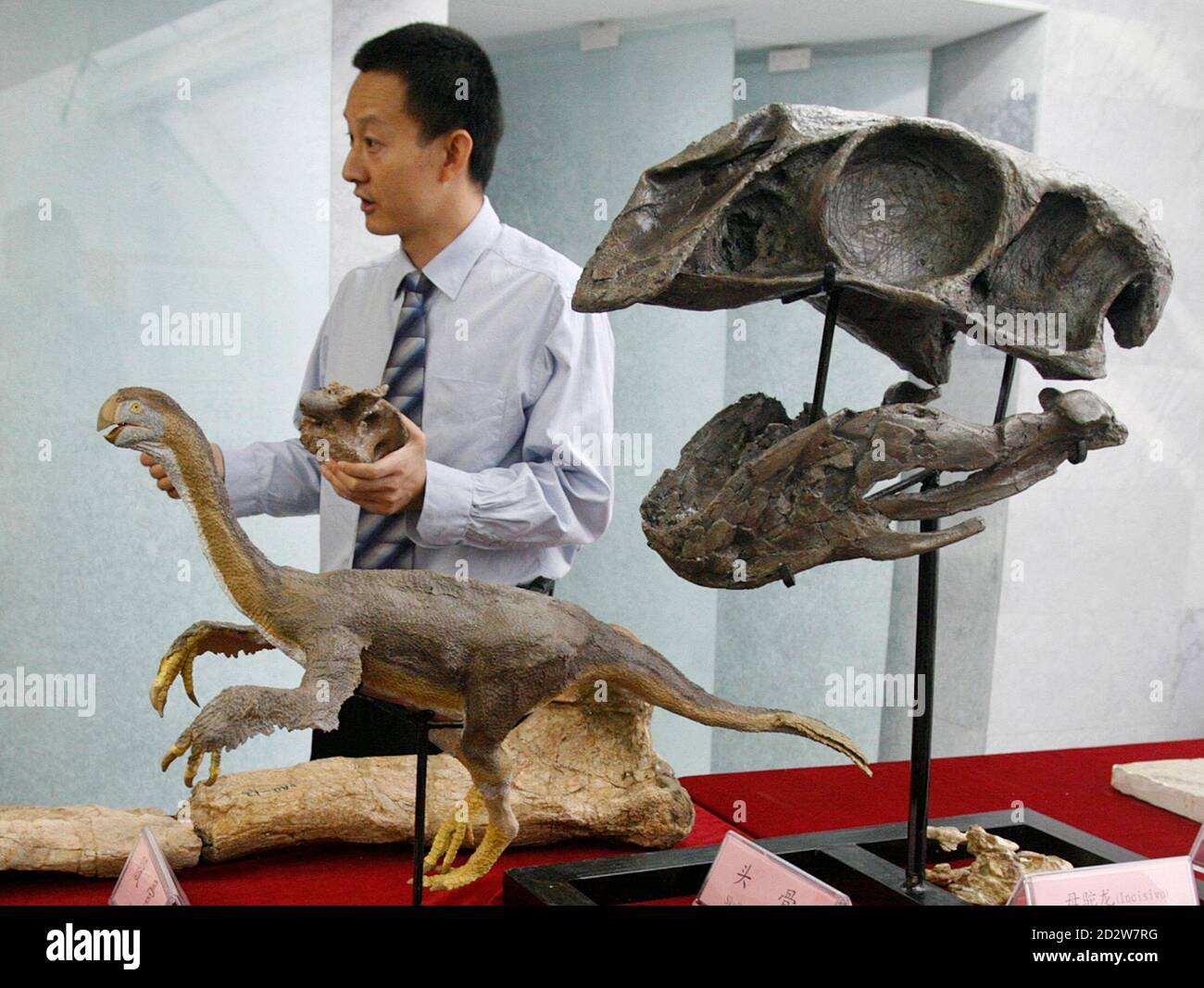 Mongolia China Dinosaurs Hi-res Stock Photography And Images - Alamy