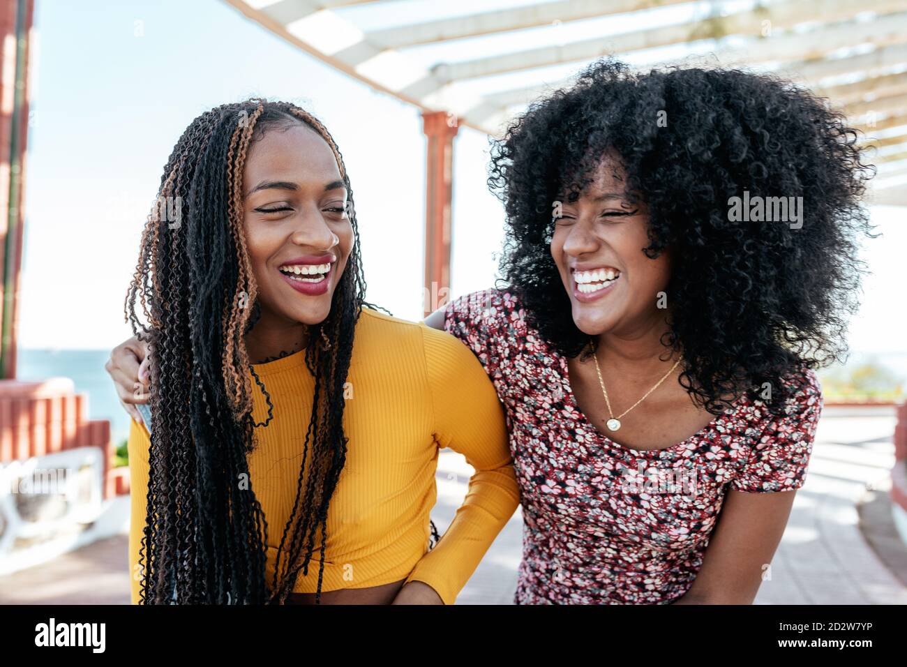 Black woman with curly hair hugging delighted African American female friend with braids while standing on embankment and looking away Stock Photo