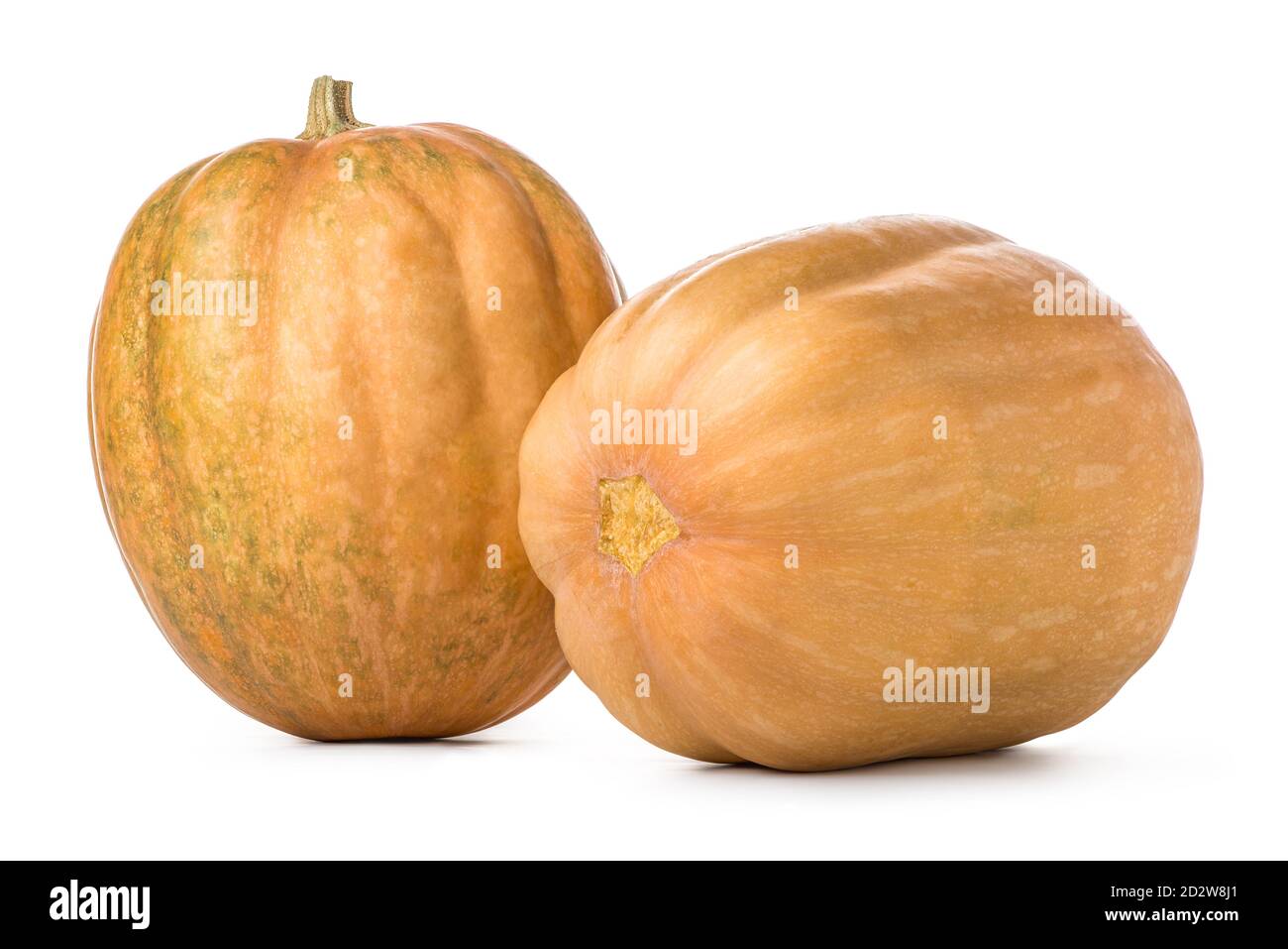 Two orange pumpkins isolated on a white background Stock Photo