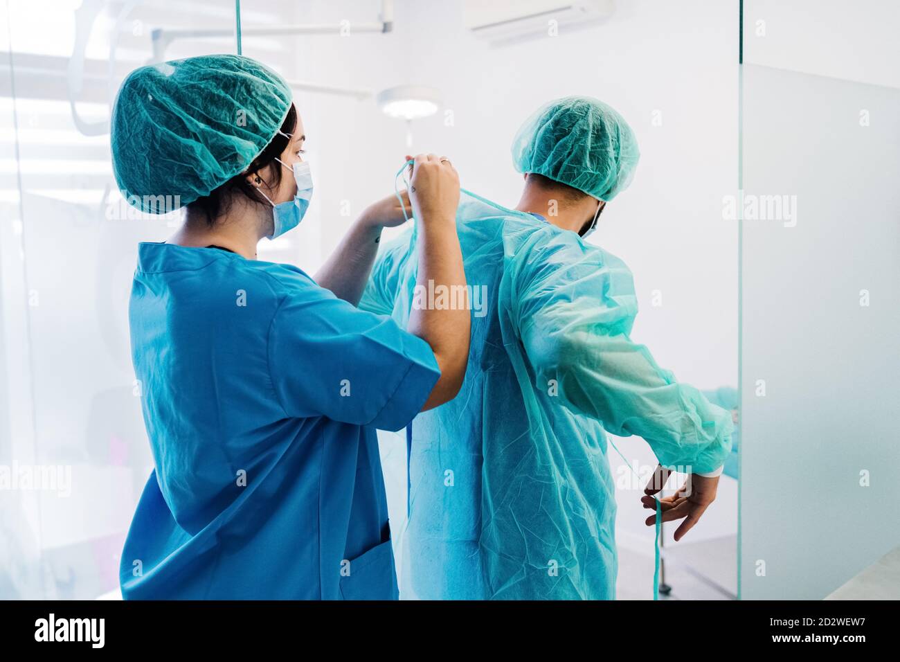 Back view of vet doctors putting on protective uniform and gloves while standing in bright operating theater of veterinarian hospital and preparing for surgery Stock Photo