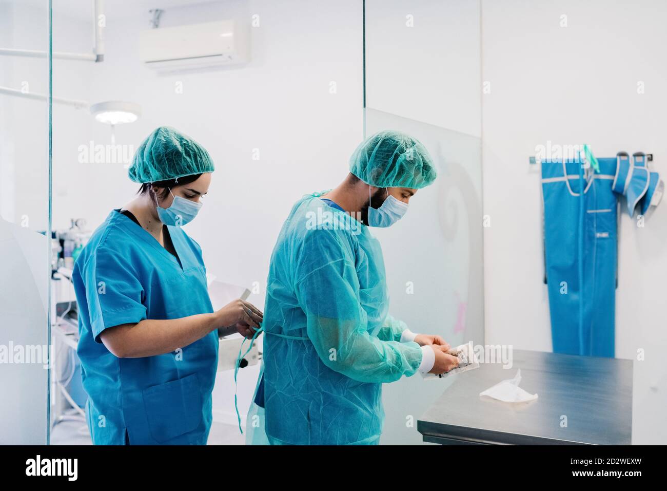 Side view of vet doctors putting on protective uniform and gloves while