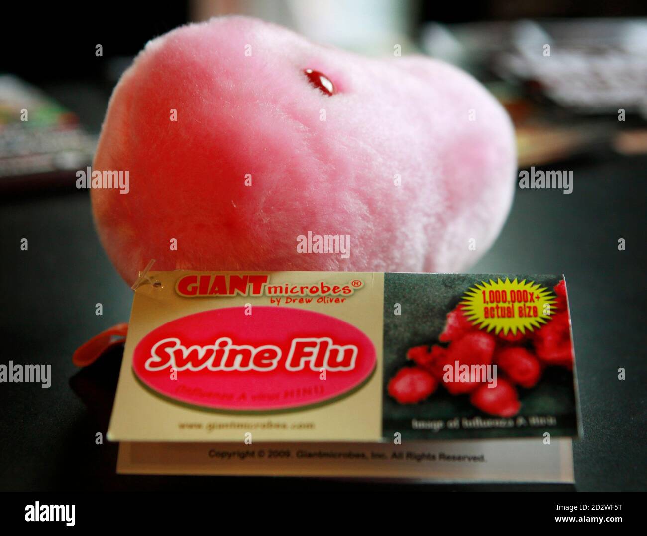 Ma swine hi-res stock photography and images - Alamy