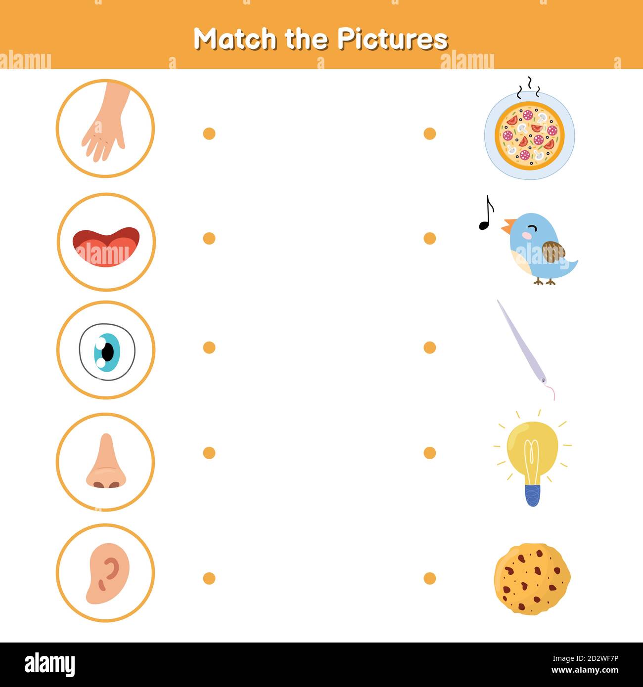 Five senses matching game for kids. Sight, touch, hearing, smell and taste Stock Vector