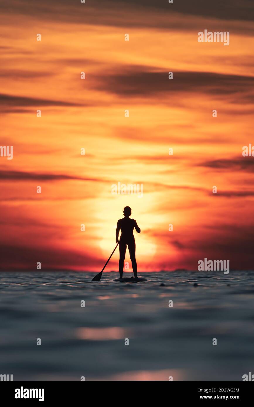 Silhouette of faceless female surfer standing on paddle board and rowing against spectacular sun in sunset sky Stock Photo
