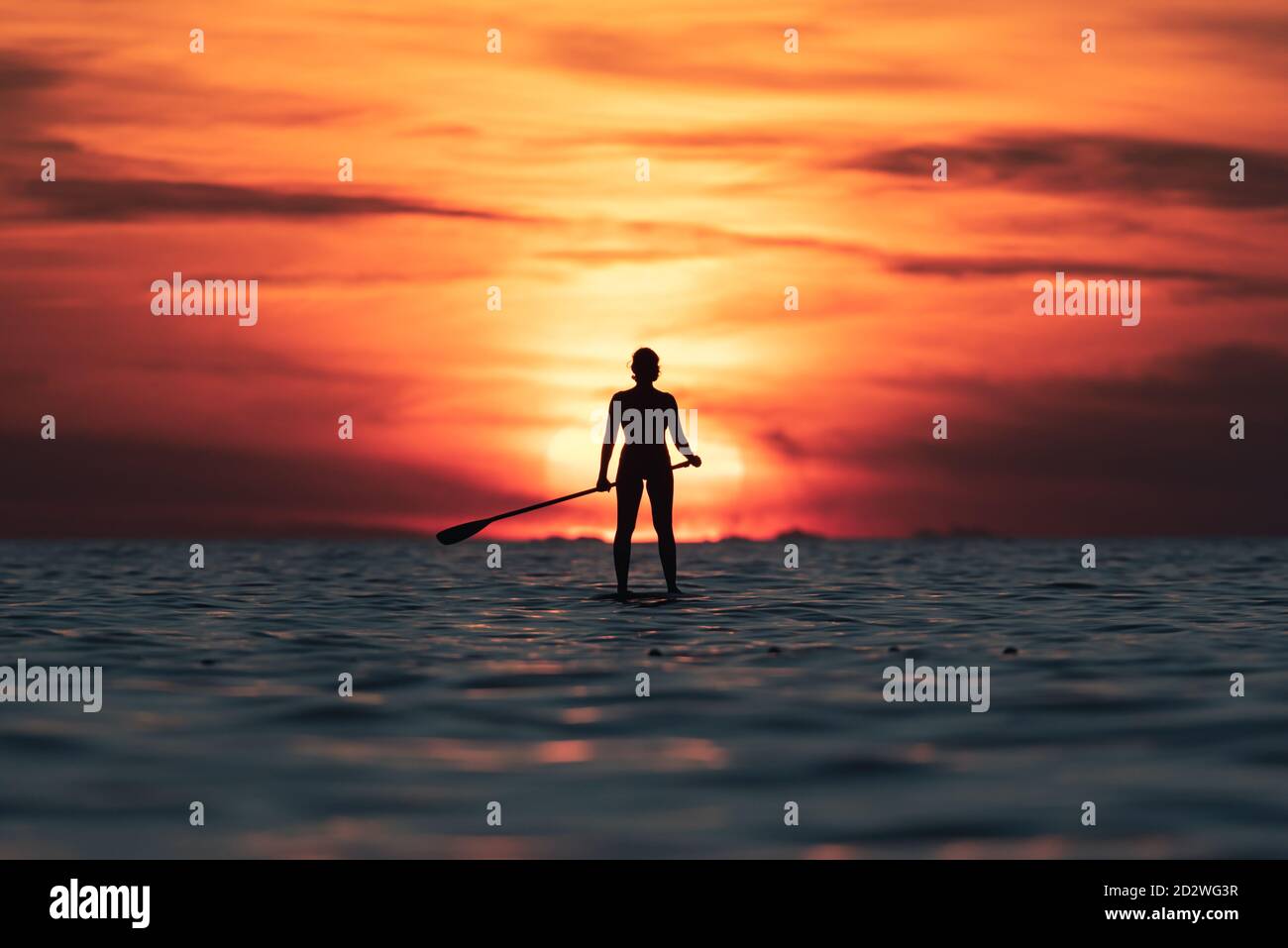 Silhouette of faceless female surfer standing on paddle board and rowing against spectacular sun in sunset sky Stock Photo