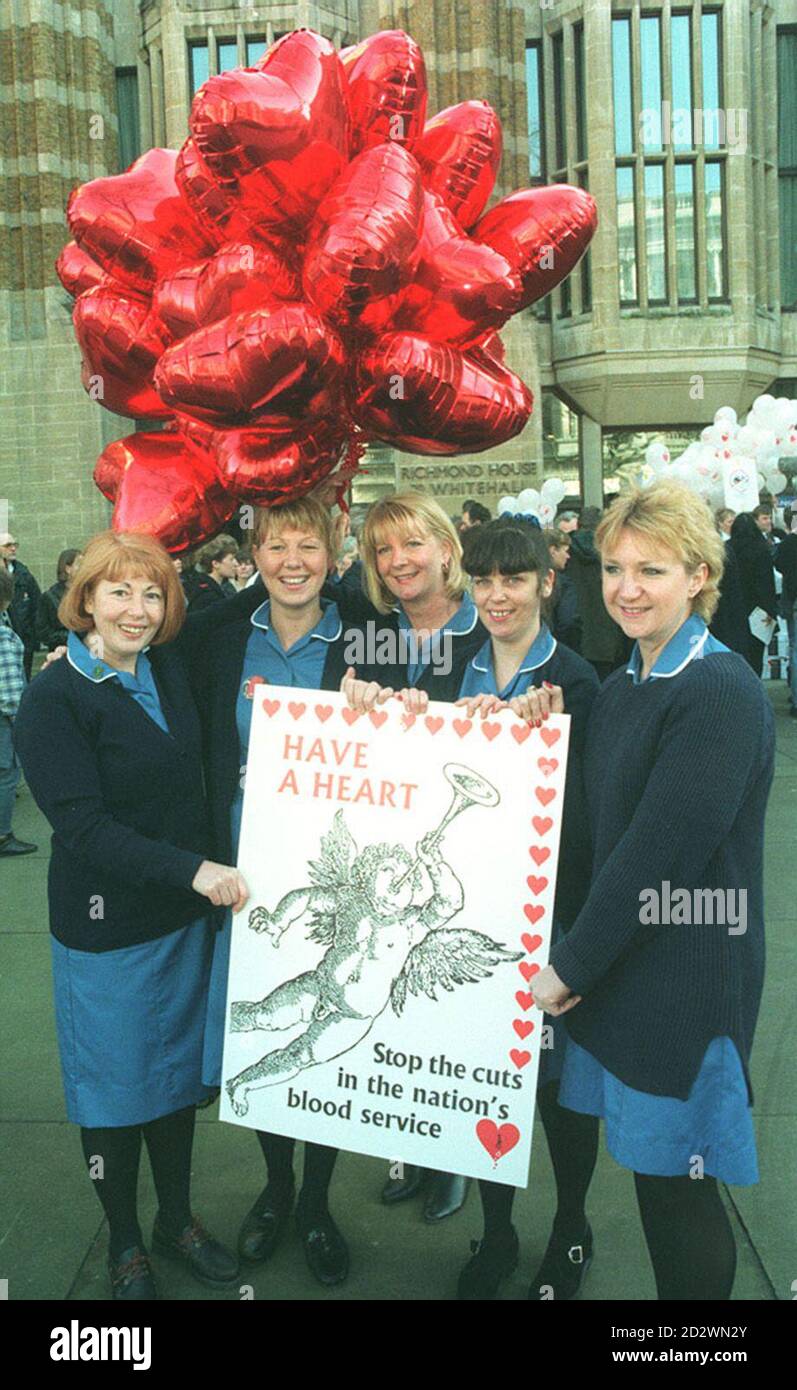 PAP 06 14.02.95 LONDON : Nurses from the Liverpool Blood Transfusion Service (l/r) Denise Nolan, Collette  Holmes, Kathy Clarke, Joanne Williams and Carol Percell deliver a giant Valentine card to Health Secretary  Virginia Bottomley, outside the Department of Health, Richmond House today (Tuesday). PA News Stefan  Rousseau/djc Stock Photo
