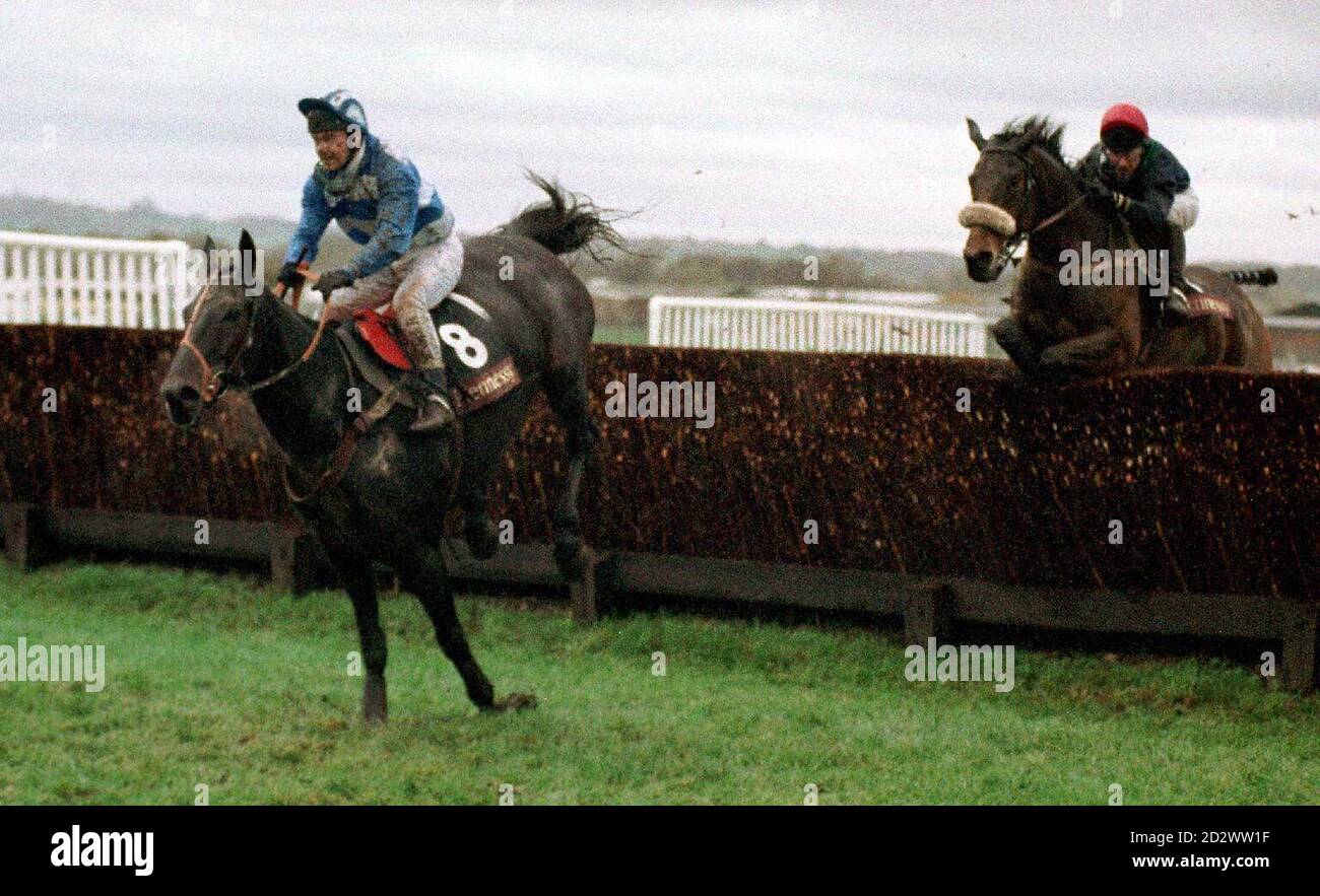 Couldnt Be Better, D Gallagher up, leads from Rough Guest, J Osborne up, over the last before going on to win the Hennessy Cognac Gold Cup Steeple Chase at Newbury. Stock Photo