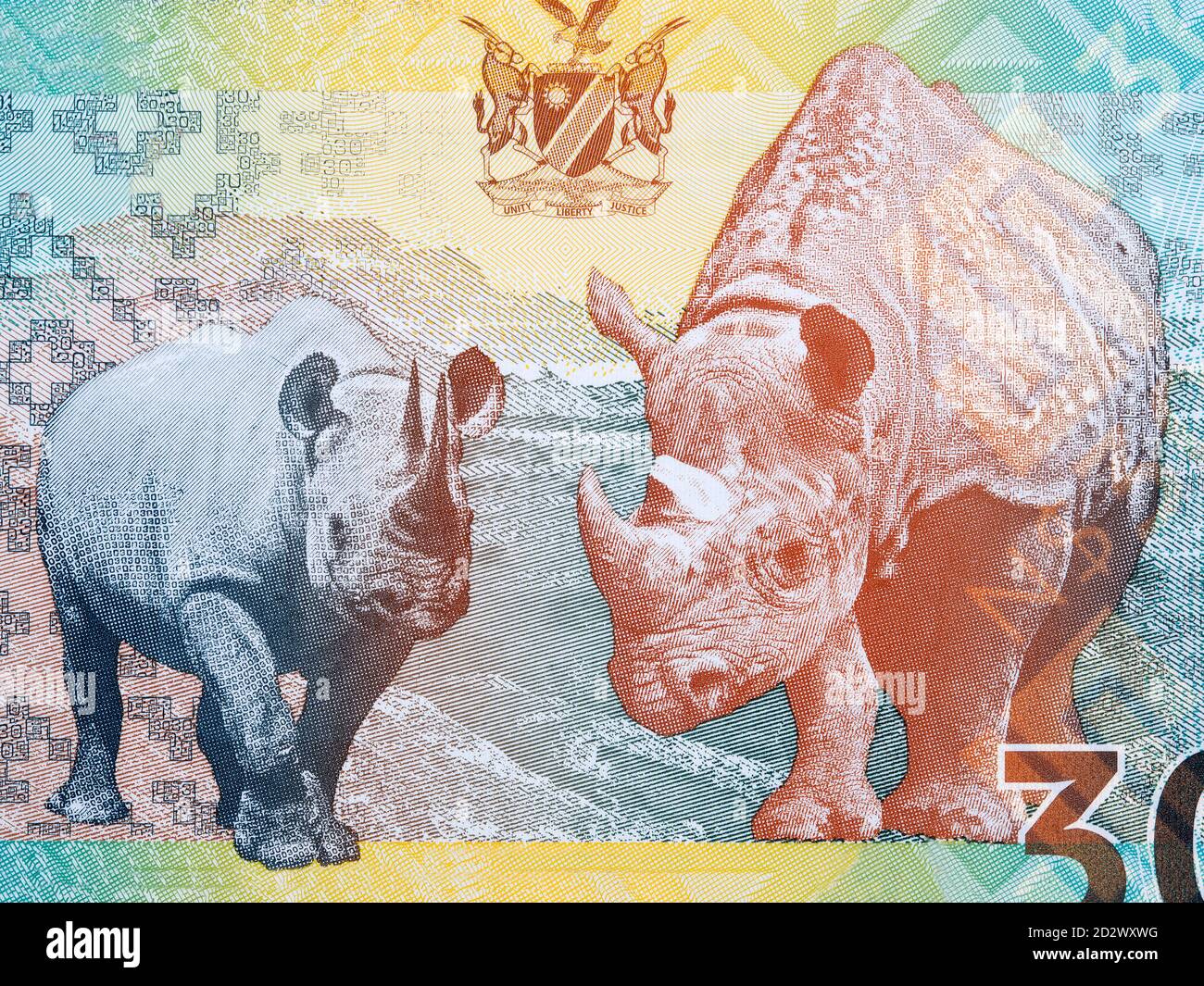 Namibian Black Rhino a portrait from money Stock Photo
