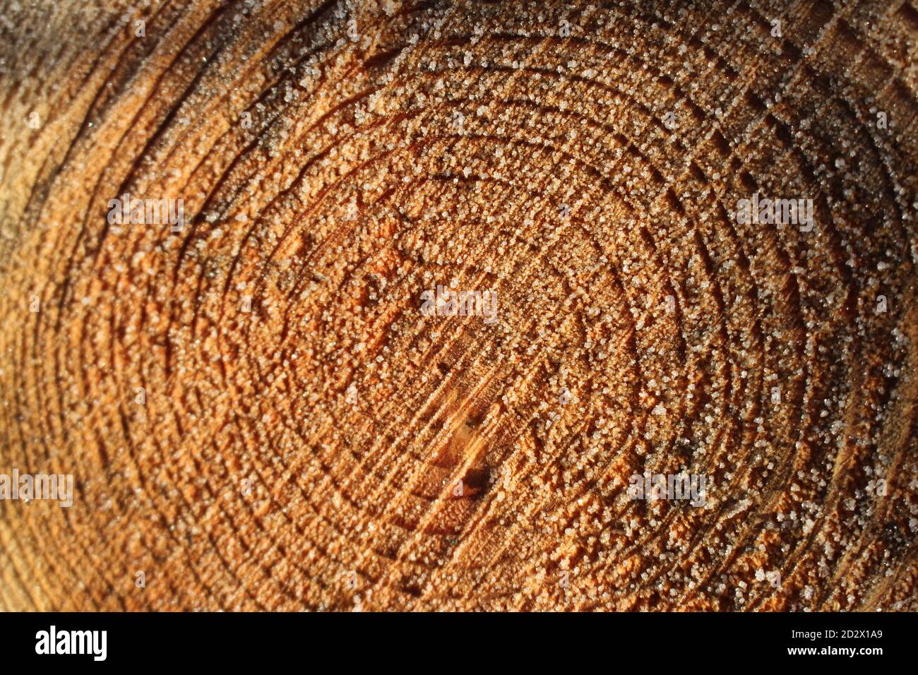 wooden structure natural tree rings Stock Photo - Alamy