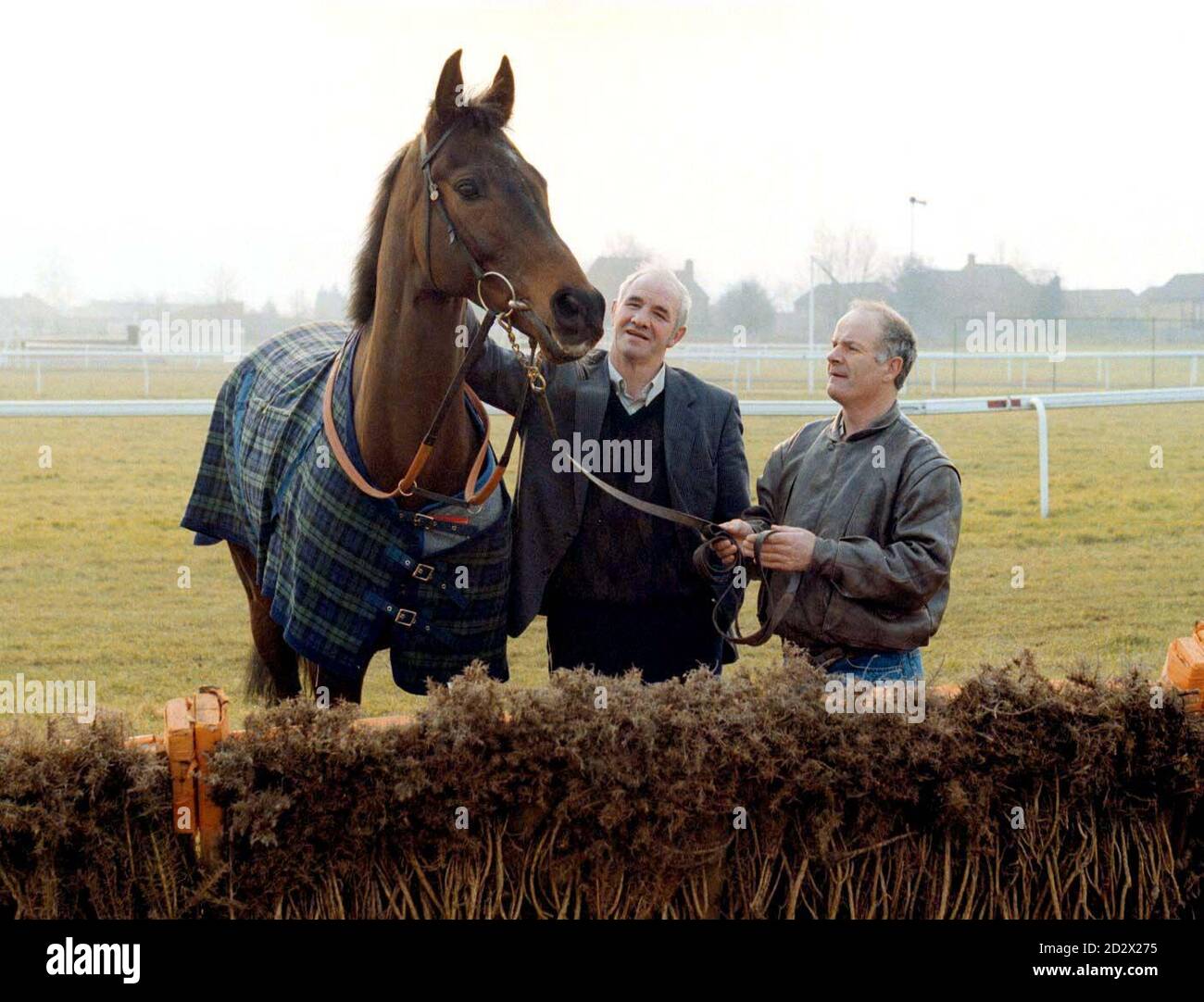 Champion Hurdle contender Danoli with trainer Tom Foley (left) and stable lad Jim Tracey take a look at Cheltenham Racecourse. Stock Photo
